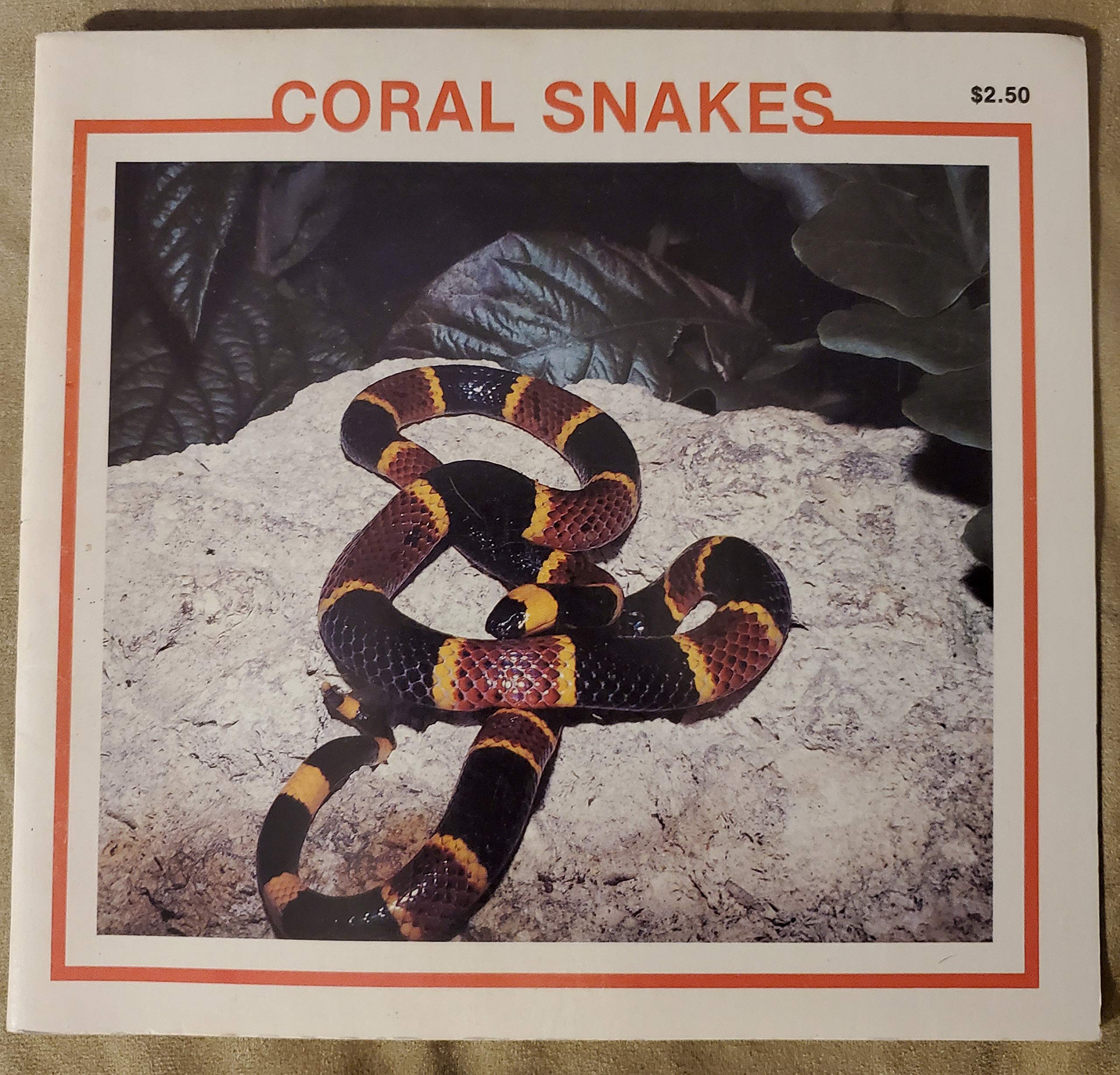 Coral Snakes: The Snake Discovery Library Books