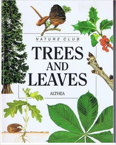 Trees and Leaves (Nature Club) Books