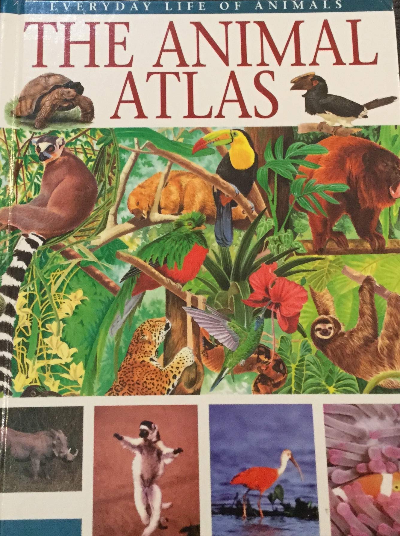 The Animal Atlas (Everyday Life of Animals) Non-fiction