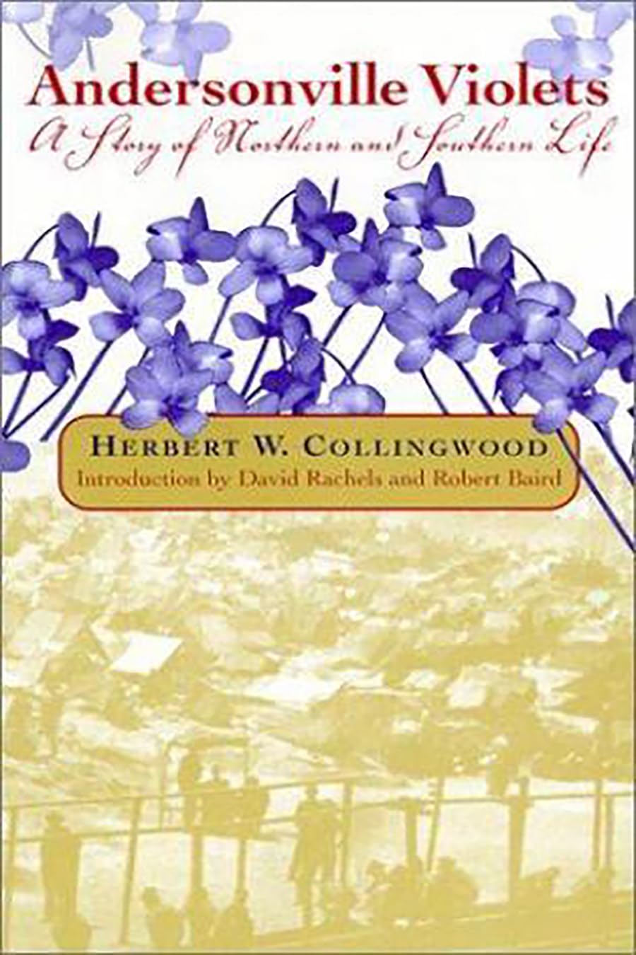 Andersonville Violets: A Story of Northern and Southern Life Classics