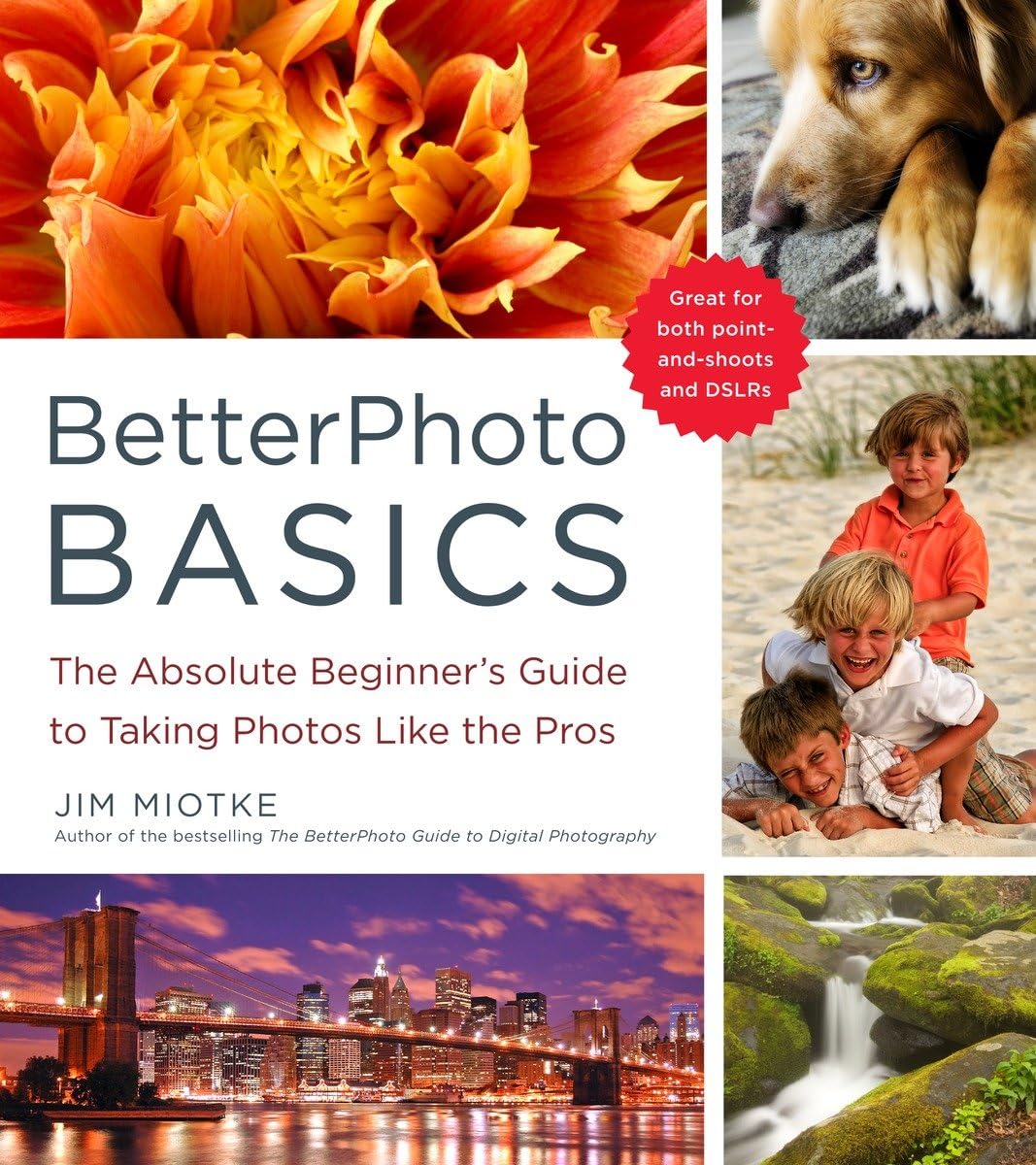 Product Image: BetterPhoto Basics