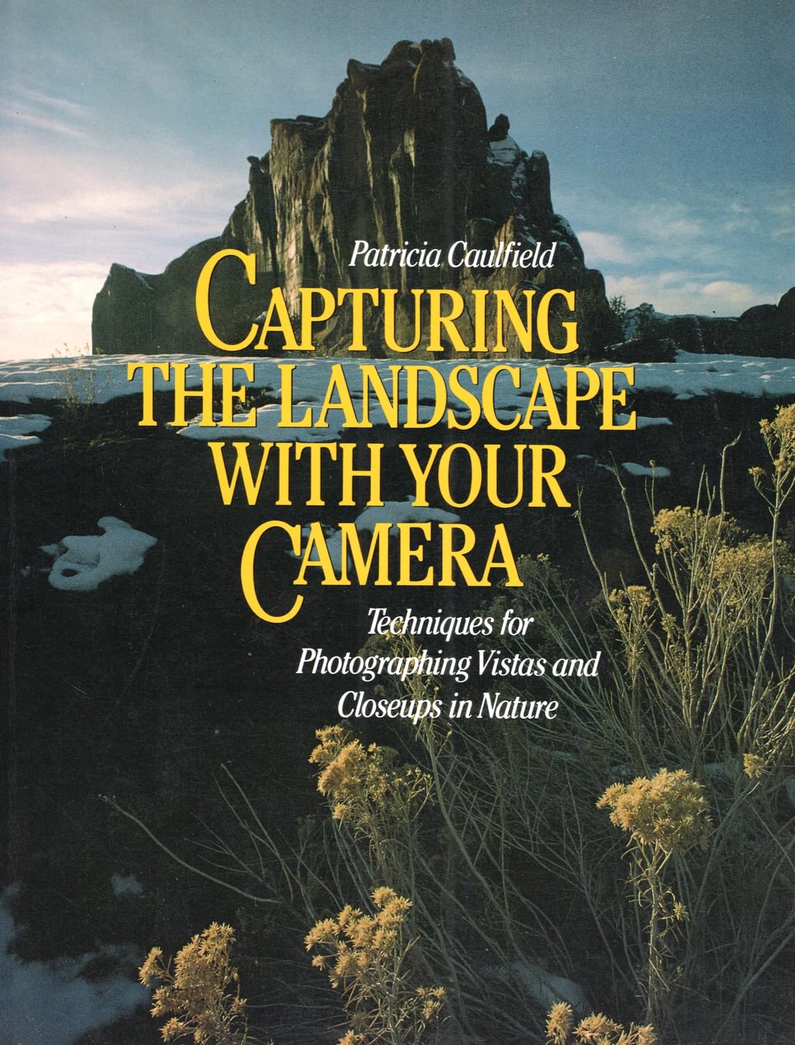 Capturing the Landscape With Your Camera: Techniques for Photographing Vistas and Closeups in Nature Photography