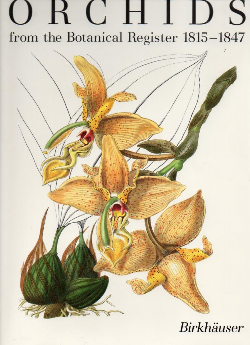 Orchids from the Botanical Register, 1815-1847 Business & Technology