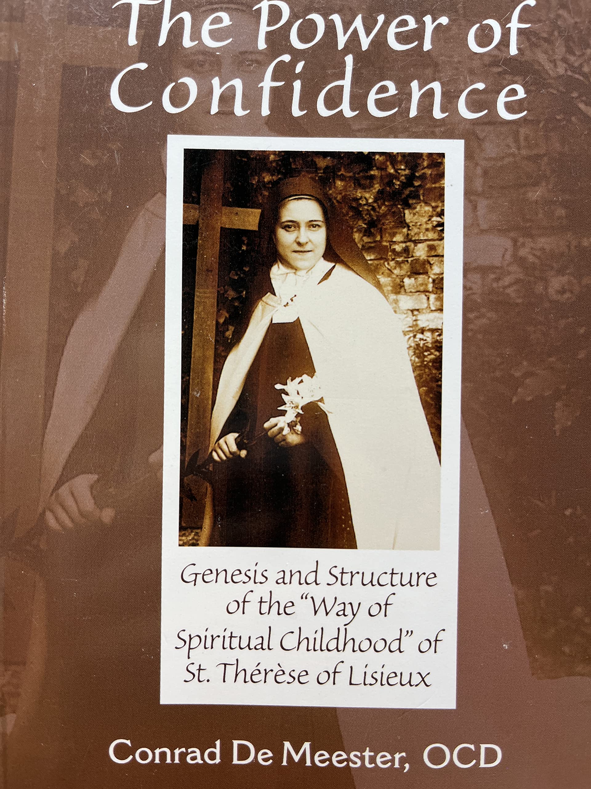 The Power of Confidence: Genesis and Structure of the "Way of Spiritual Childhood" of Saint Therese of Lisieux book