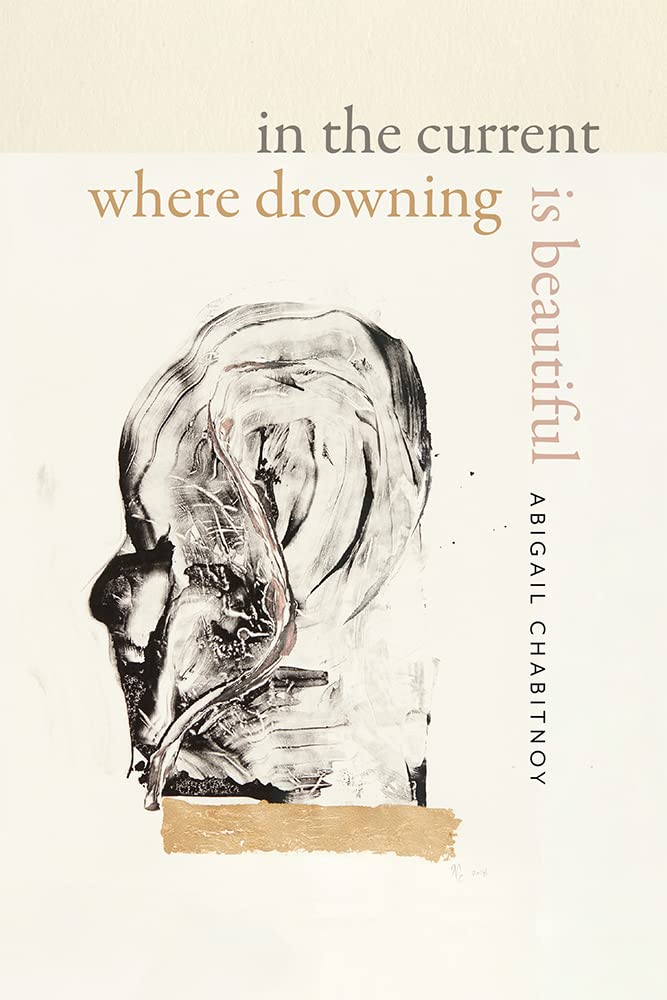 In the Current Where Drowning Is Beautiful (Wesleyan Poetry) Social Sciences