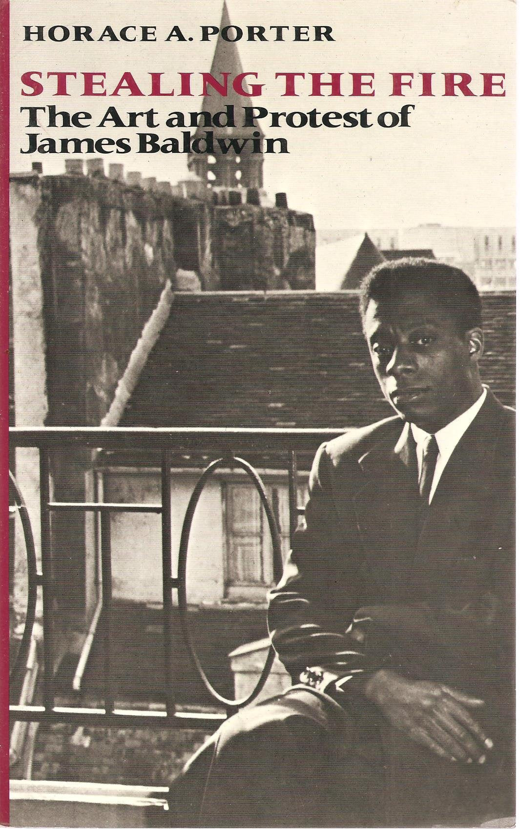 Stealing the Fire: The Art and Protest of James Baldwin book