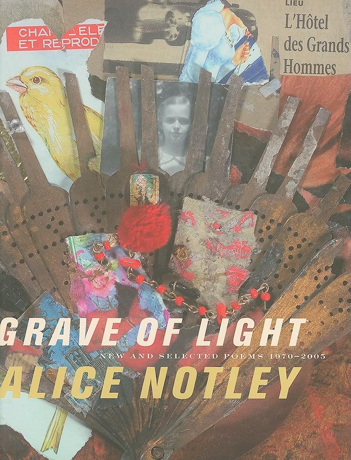 Grave of Light: New and Selected Poems 1970-2005 (Wesleyan Poetry) Poetry