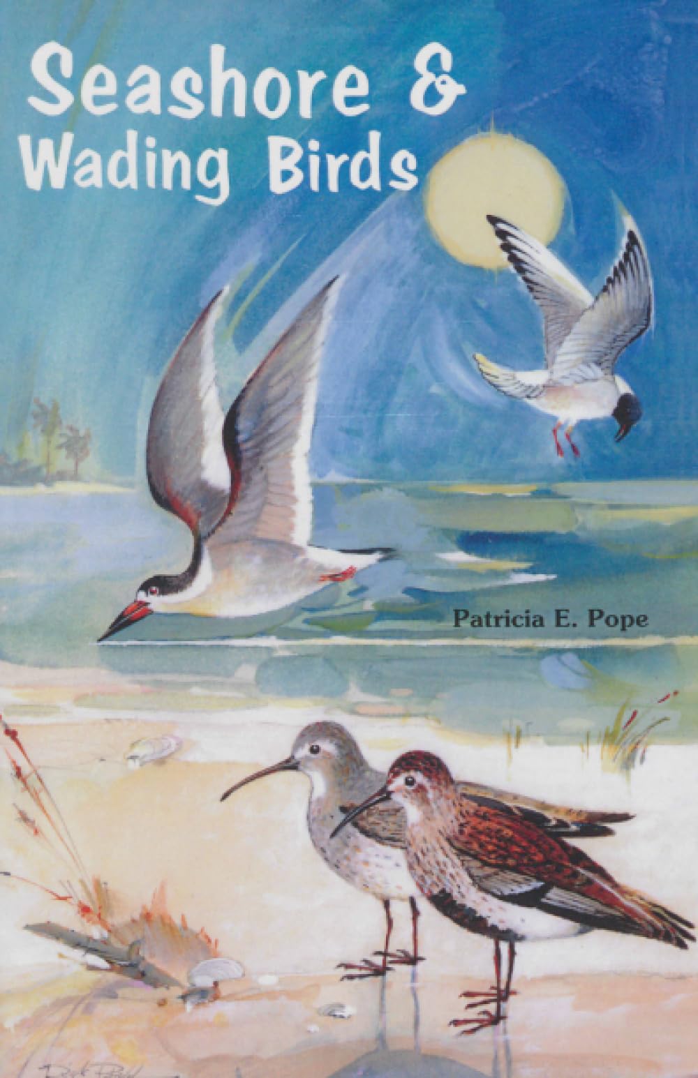 Seashore and Wading Birds of Florida Leisure, Home & Garden