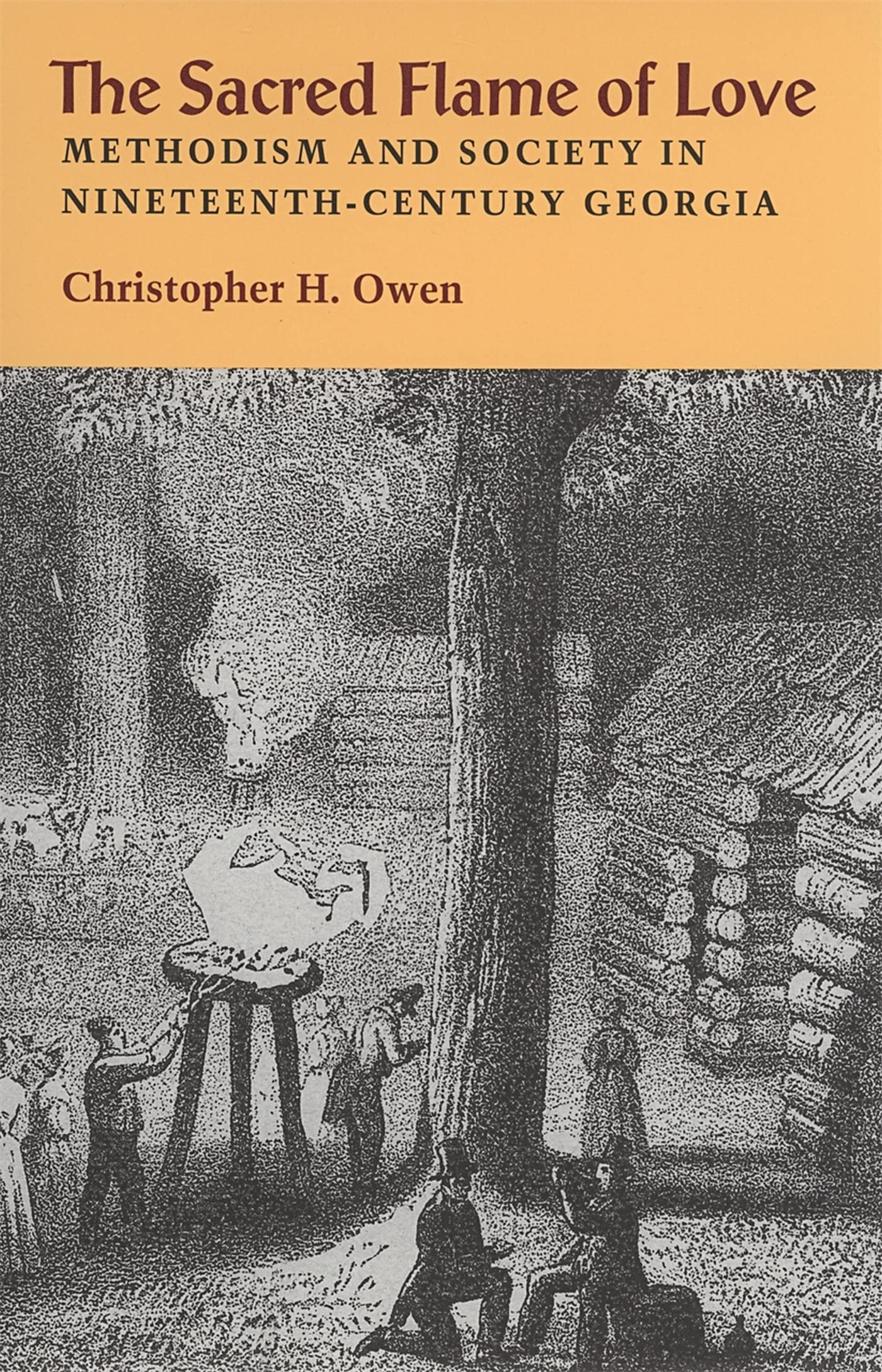 The Sacred Flame of Love: Methodism and Society in Nineteenth-Century Georgia Philosophy