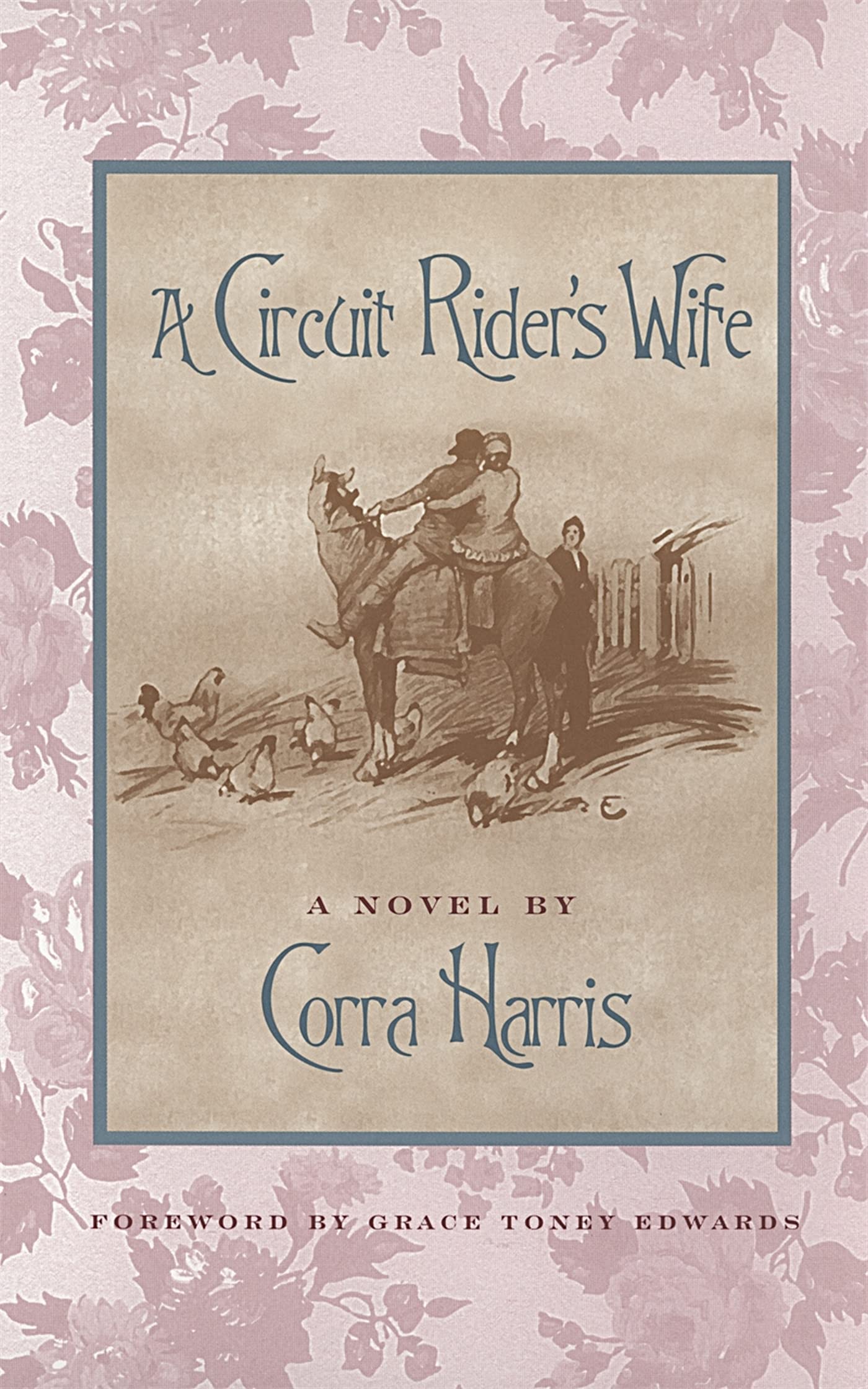 A Circuit Rider's Wife: A Novel (Brown Thrasher Books) Contemporary literature