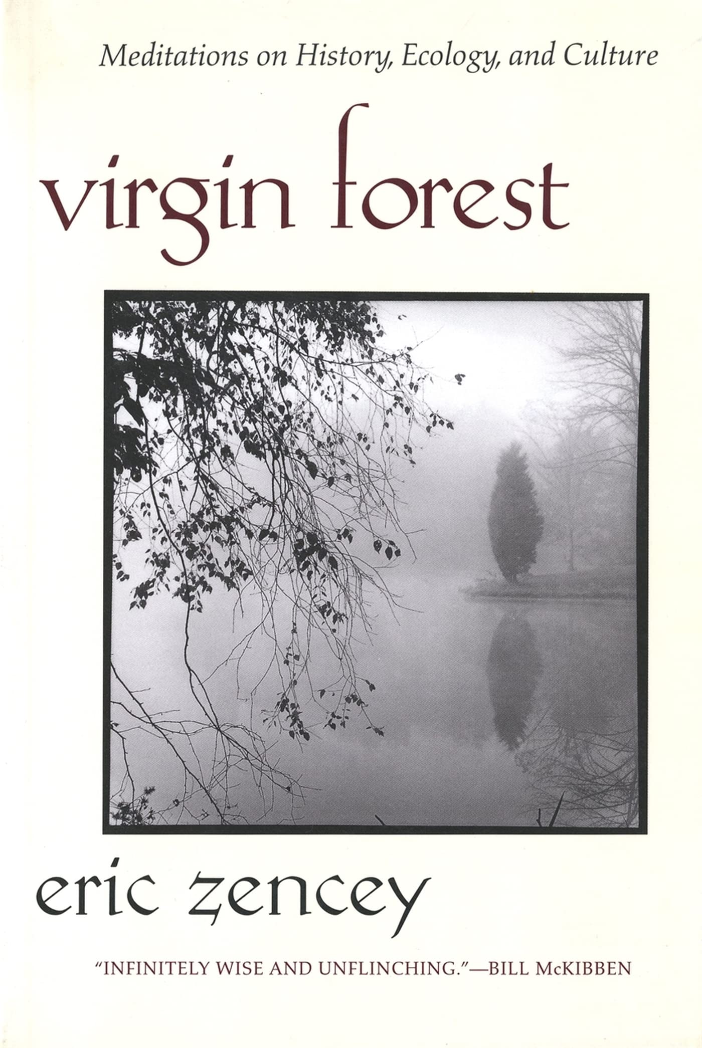 Virgin Forest: Meditations on History, Ecology, and Culture Mathematics