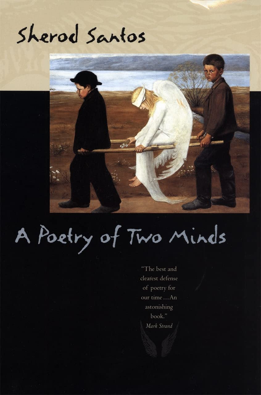 A Poetry of Two Minds (The Life of Poetry) Contemporary literature