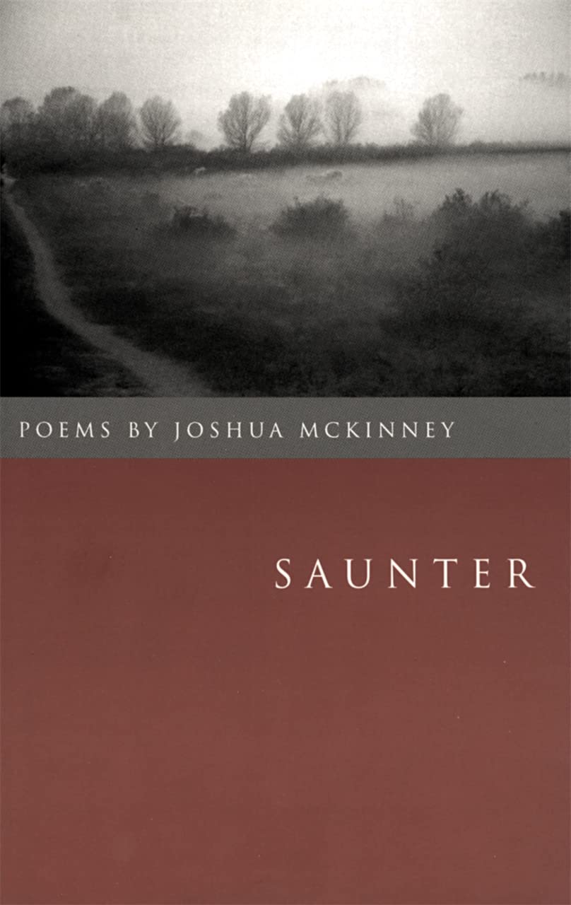 Saunter: Poems (Contemporary Poetry Series) Poetry