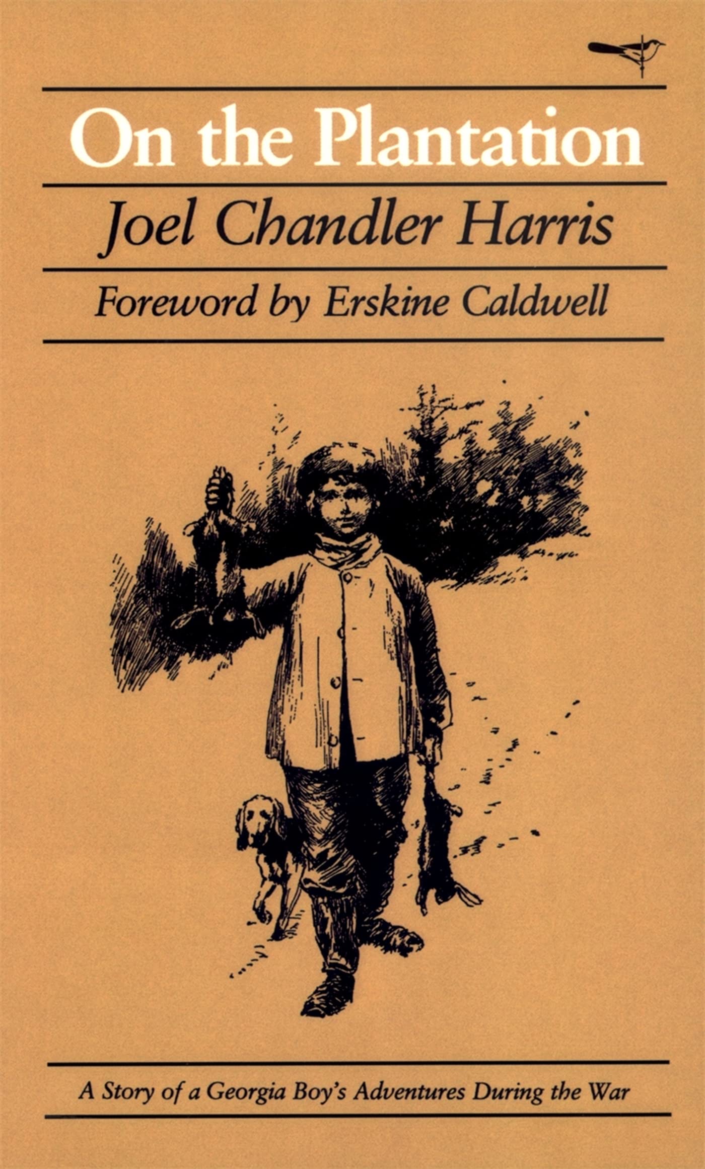 On the Plantation: A Story of a Georgia Boy's Adventures During the War (Brown Thrasher Books) Classics