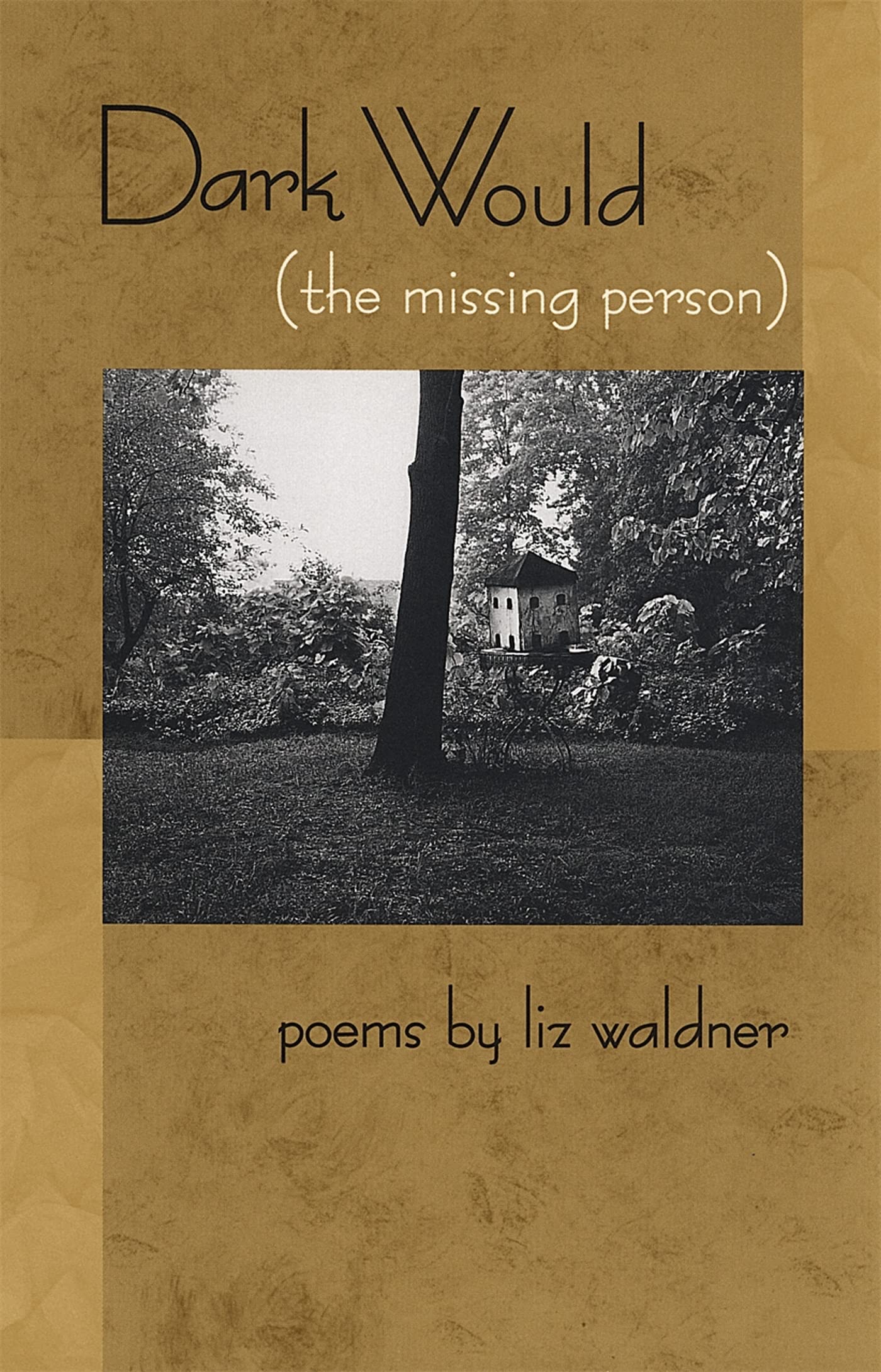 Dark Would (the Missing Person): Poems (Contemporary Poetry Series) Poetry