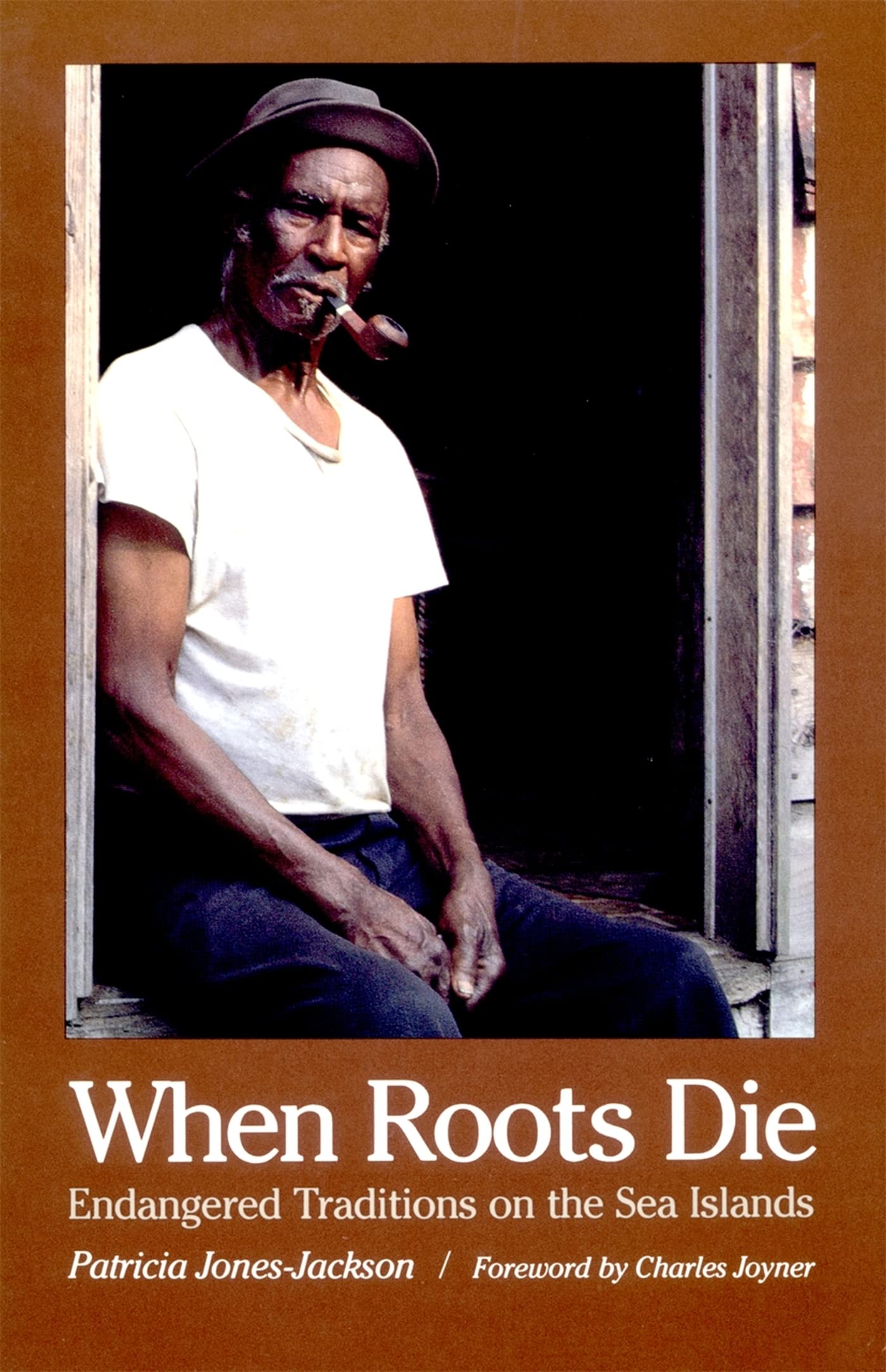 When Roots Die: Endangered Traditions on the Sea Islands (Brown Thrasher Books) Books