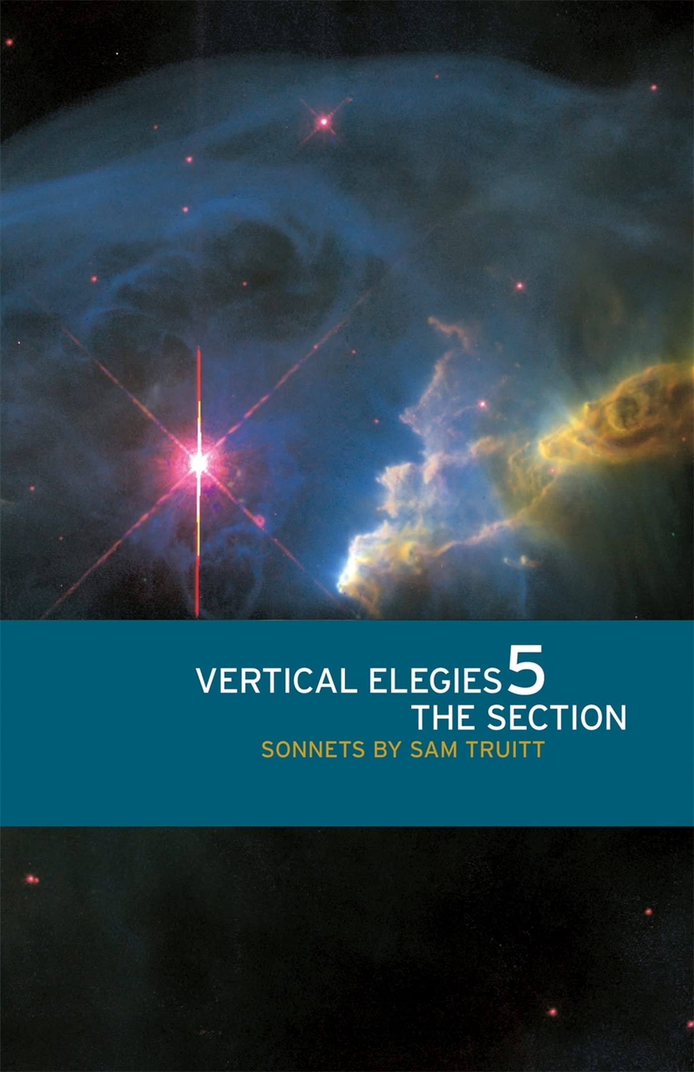 Vertical Elegies 5: The Section: Sonnets (Contemporary Poetry Series) Poetry