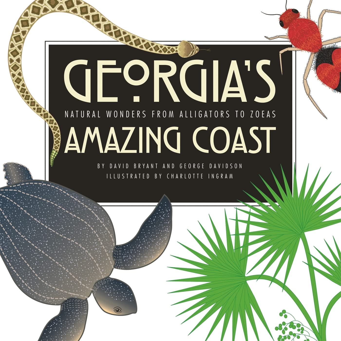 Georgia's Amazing Coast: Natural Wonders from Alligators to Zoeas Mathematics
