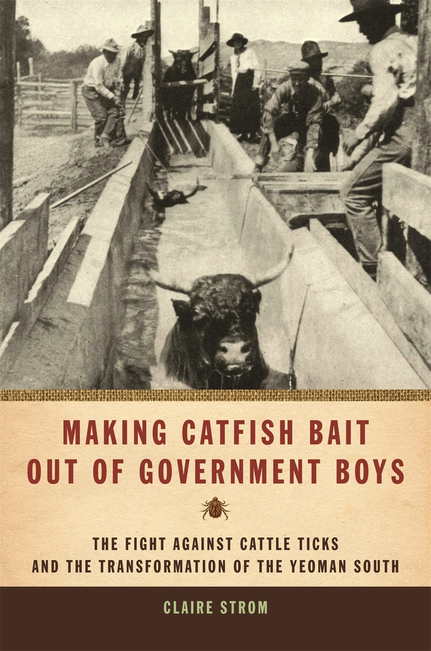 Making Catfish Bait Out of Government Boys: The Fight Against Cattle Ticks and the Transformation of the Yeoman South (Environmental History and the American South) Film, Art & Culture