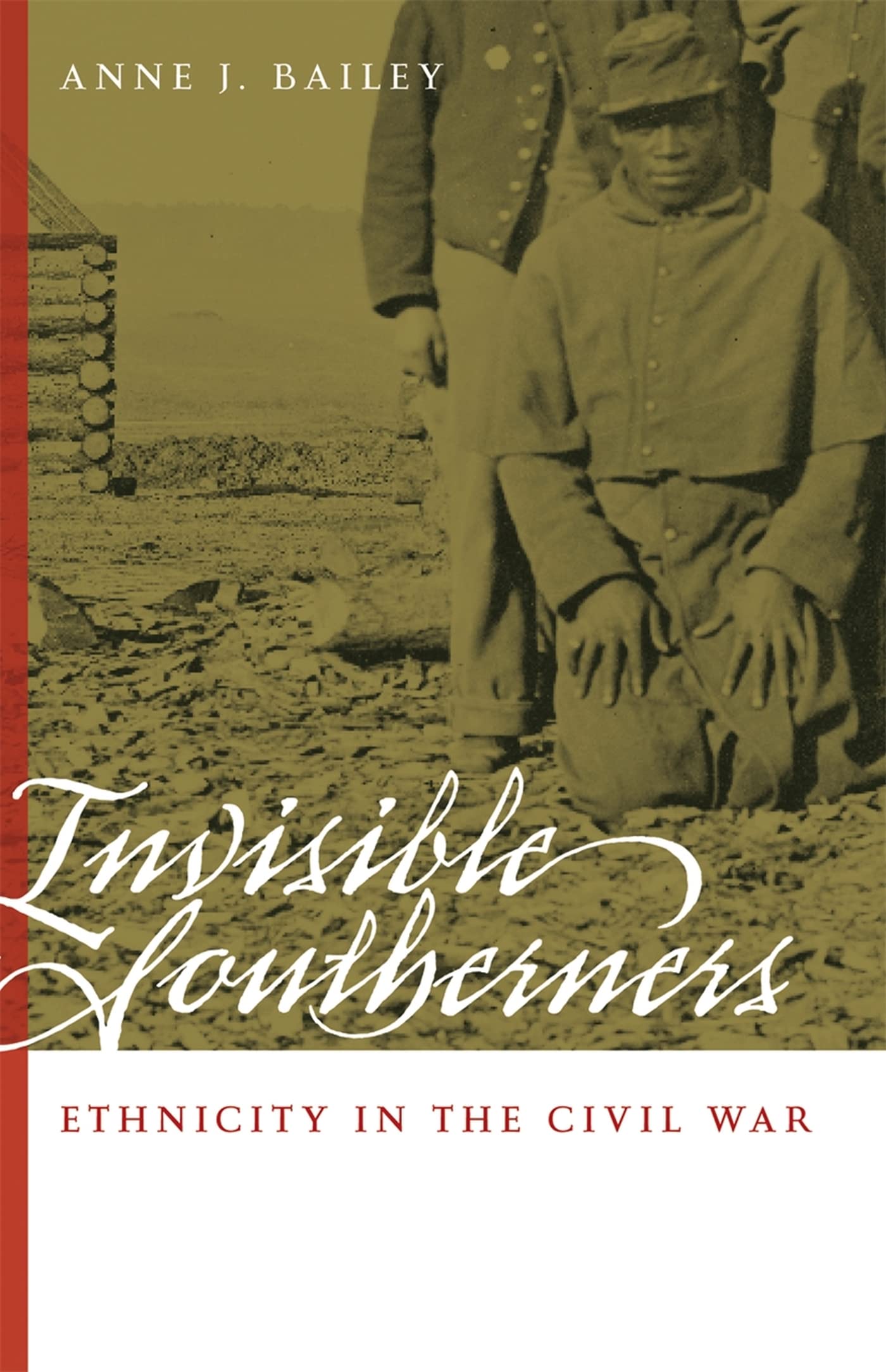 Invisible Southerners: Ethnicity in the Civil War (Georgia Southern University Jack N. And Addie D. Averitt Lecture Series) Books