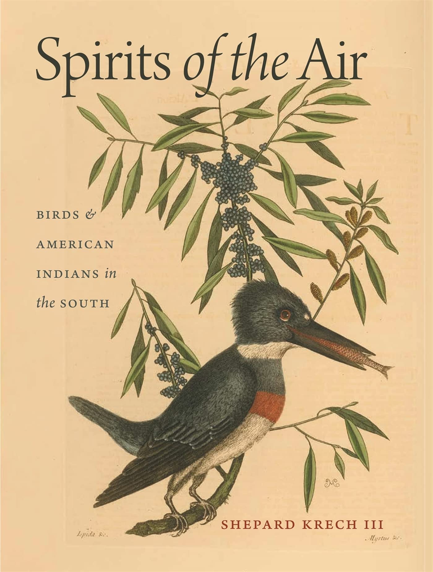 Spirits of the Air: Birds & American Indians in the South: Birds and American Indians in the South (Environmental History and the American South) General education