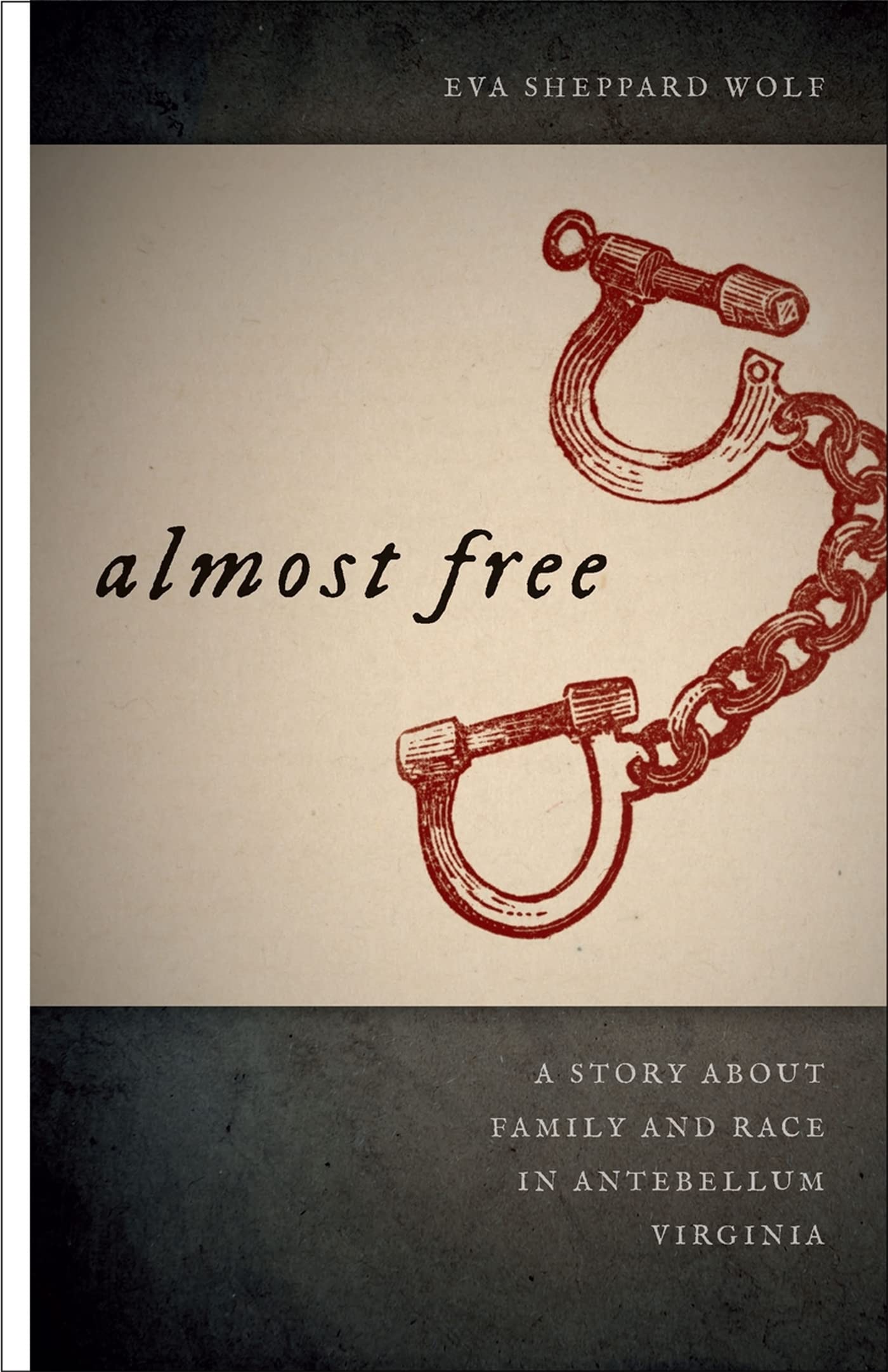 Almost Free: A Story about Family and Race in Antebellum Virginia (Race in the Atlantic World, 1700-1900) Social Sciences
