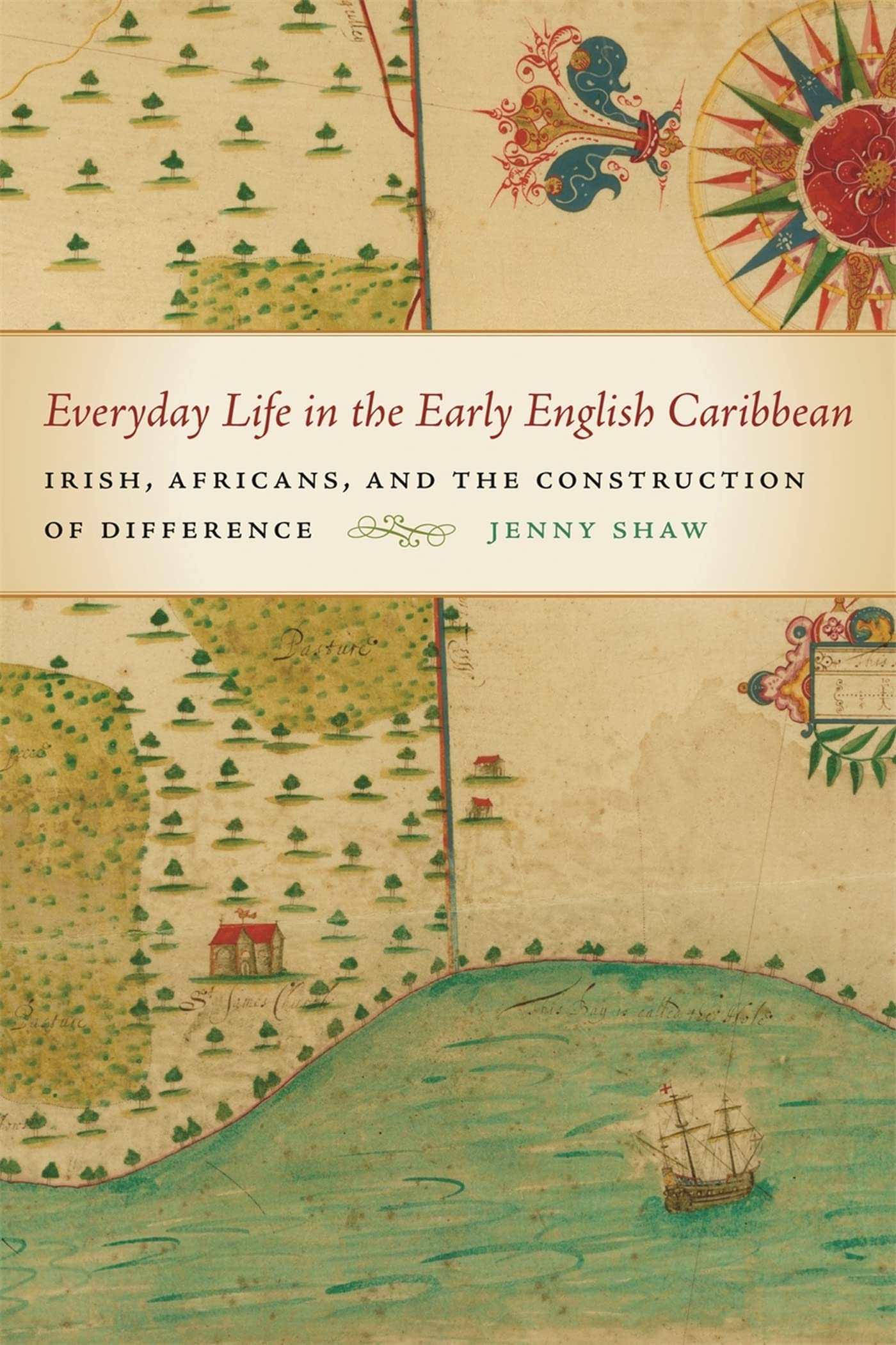 Everyday Life in the Early English Caribbean: Irish, Africans, and the Construction of Difference (Early American Places) Social Sciences