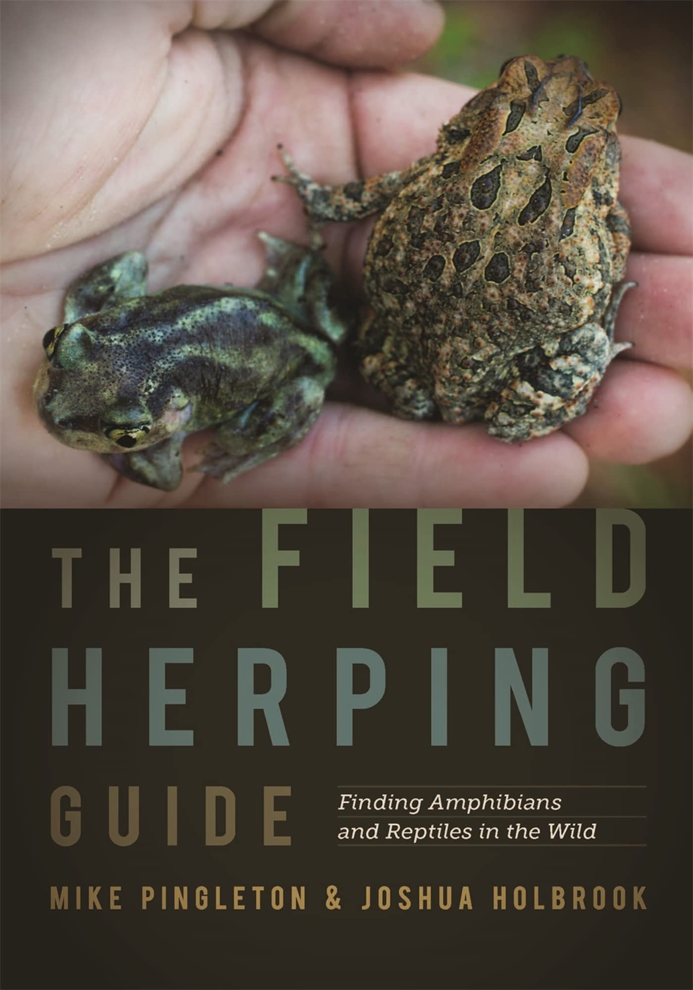 The Field Herping Guide: Finding Amphibians and Reptiles in the Wild (Wormsloe Foundation Nature Book) Mathematics