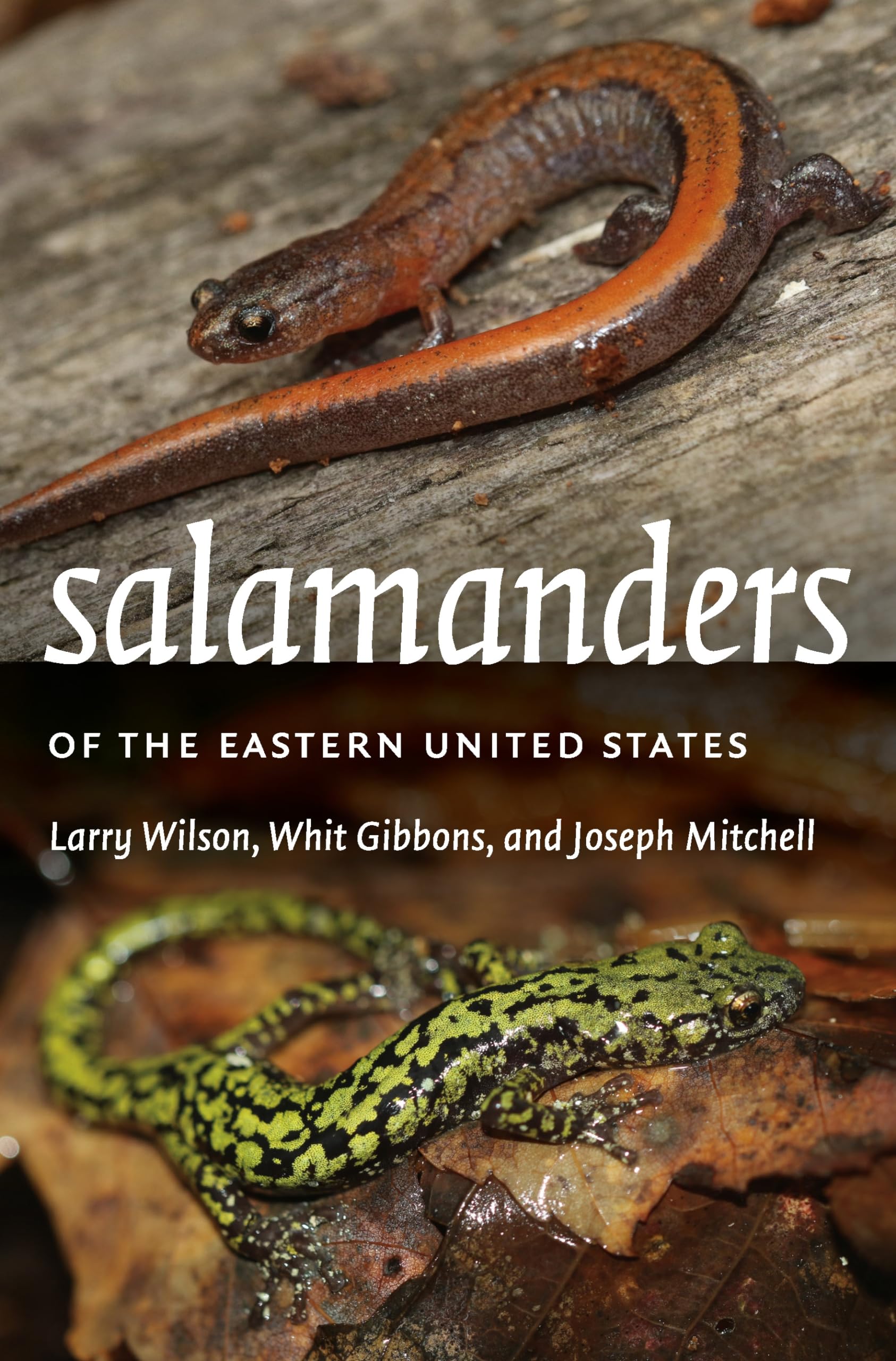 Salamanders of the Eastern United States (Wormsloe Foundation Nature Books, 58) Mathematics