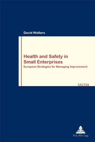 Health and Safety in Small Enterprises: European Strategies for Managing Improvement (Work & Society, Band 31) Business, Finance & Career