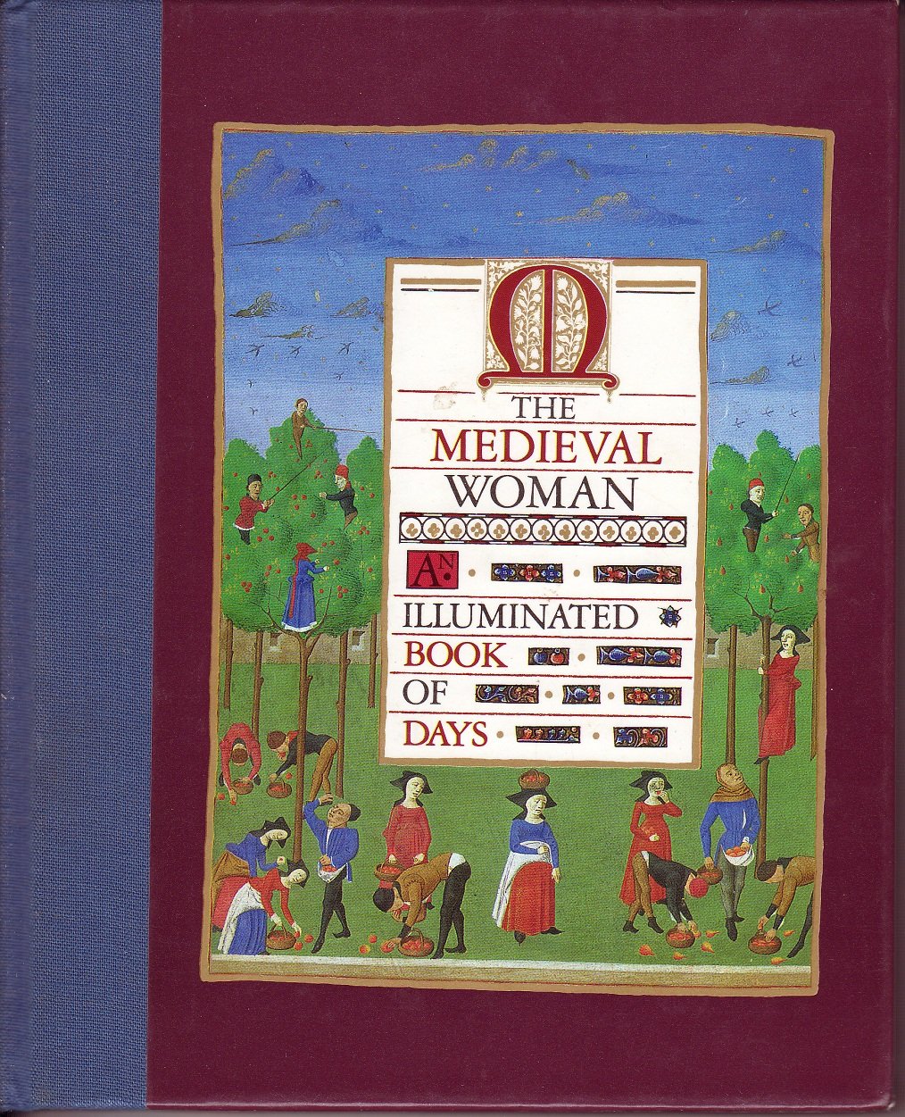 The Medieval Woman: An Illuminated Book of Days Books