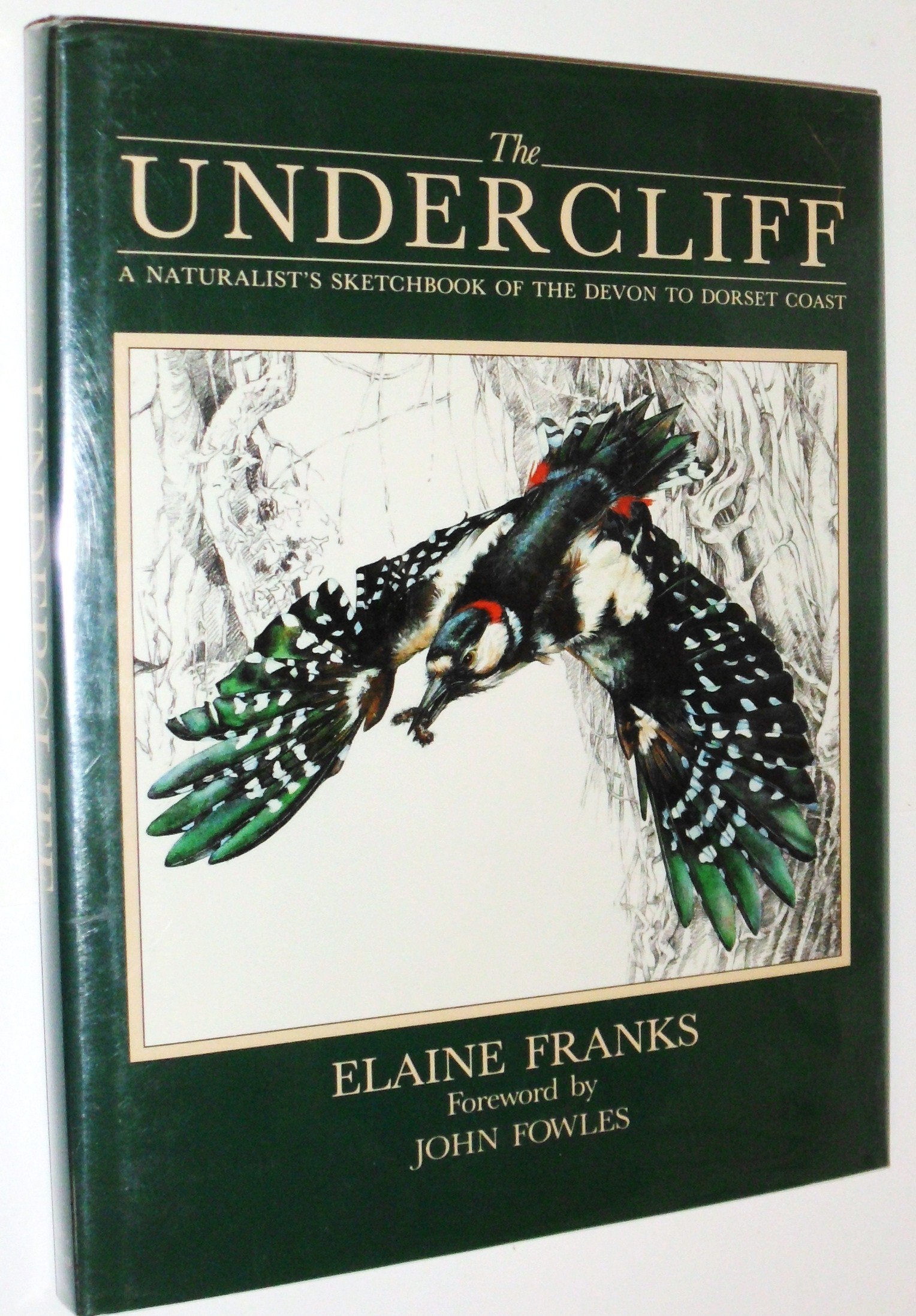 The Undercliff: A Naturlist's Sketchbook of the Devon to Dorset Coast: A Naturalist's Sketchbook of the Devon to Dorset Coast Mathematics