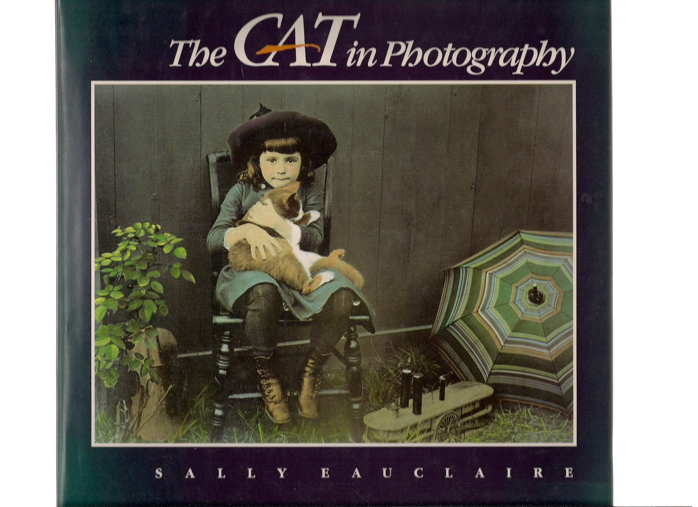 The Cat in Photography book