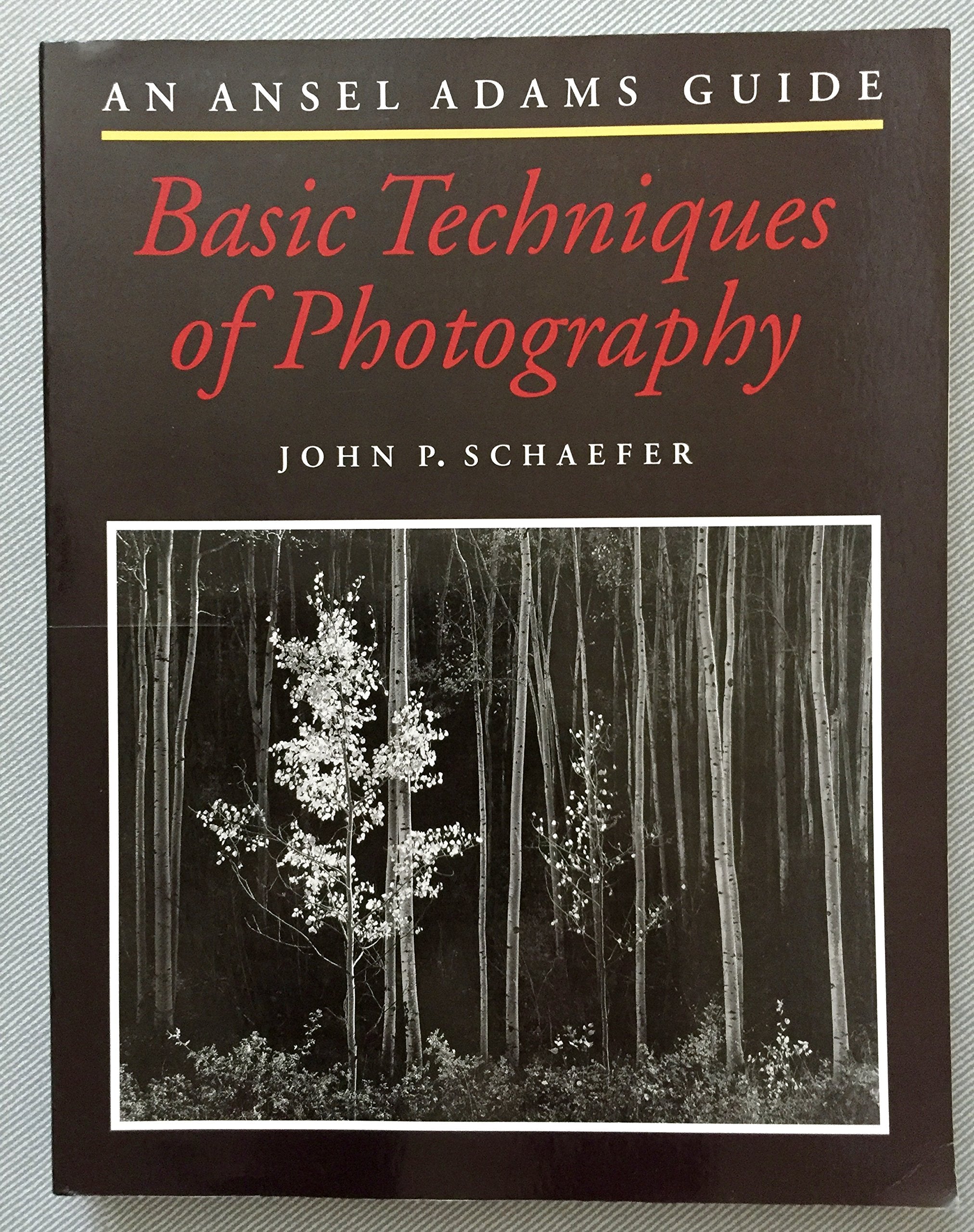 An Ansel Adams Guide: Basic Techniques of Photography (The Ansel Adams Guide: Basic Techniques of Photography) Photography