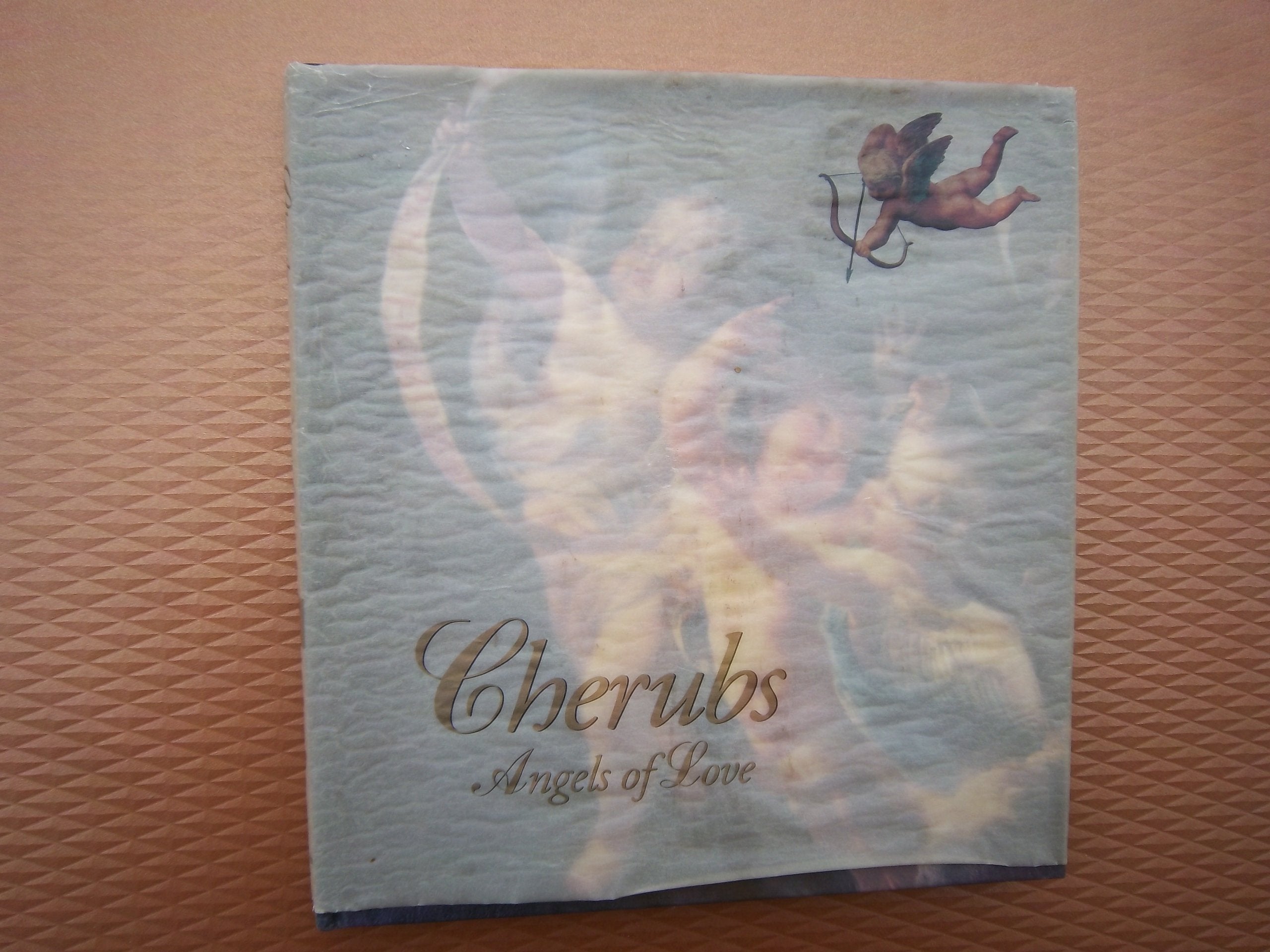 Cherubs: Angels of Love book