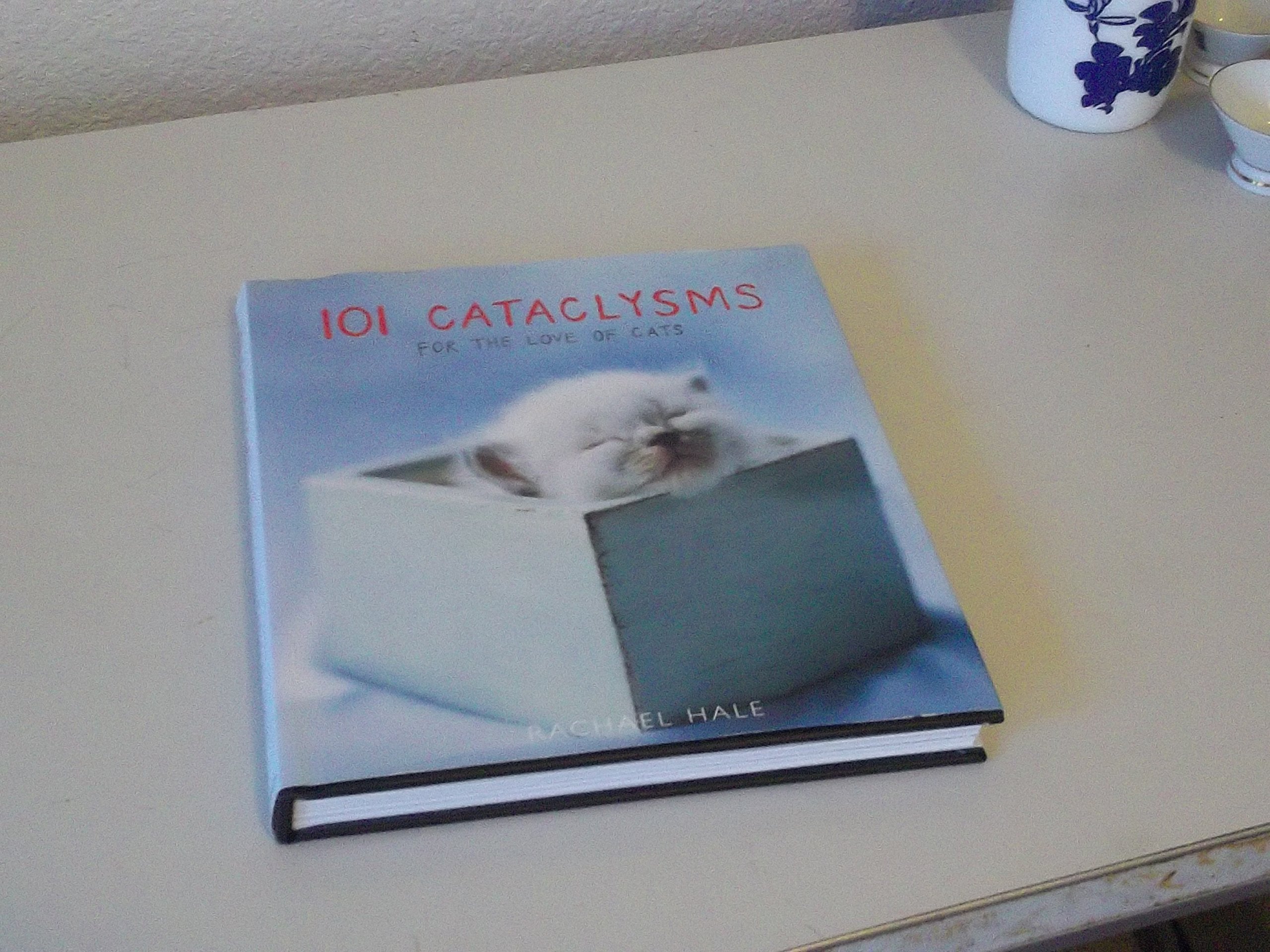 101 Cataclysms: For the Love of Cats Travel