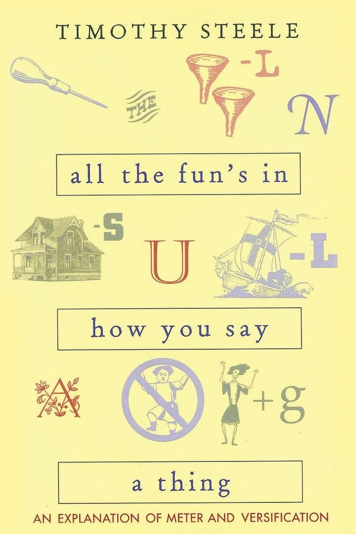 All the Fun's in How You Say a Thing: An Explanation of Meter and Versification book