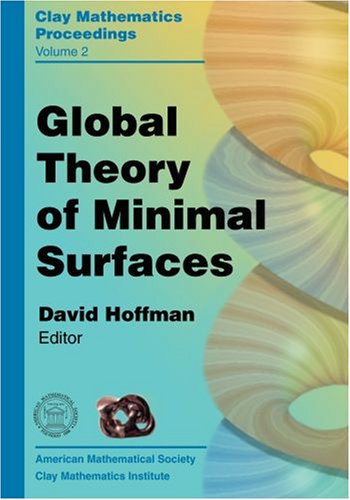 Global Theory Of Minimal Surfaces: Proceedings Of The Clay Mathematics Institute 2001 Summer School, Mathematical Sciences Research Institute, ... 27 (CLAY MATHEMATICS PROCEEDINGS, 2, Band 2) Mathematics