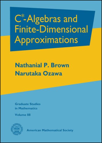 C*-Algebras and Finite-Dimensional Approximations book
