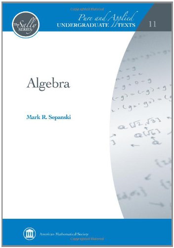 Algebra (Pure and Applied Undergraduate Texts, 11, Band 11) Mathematics