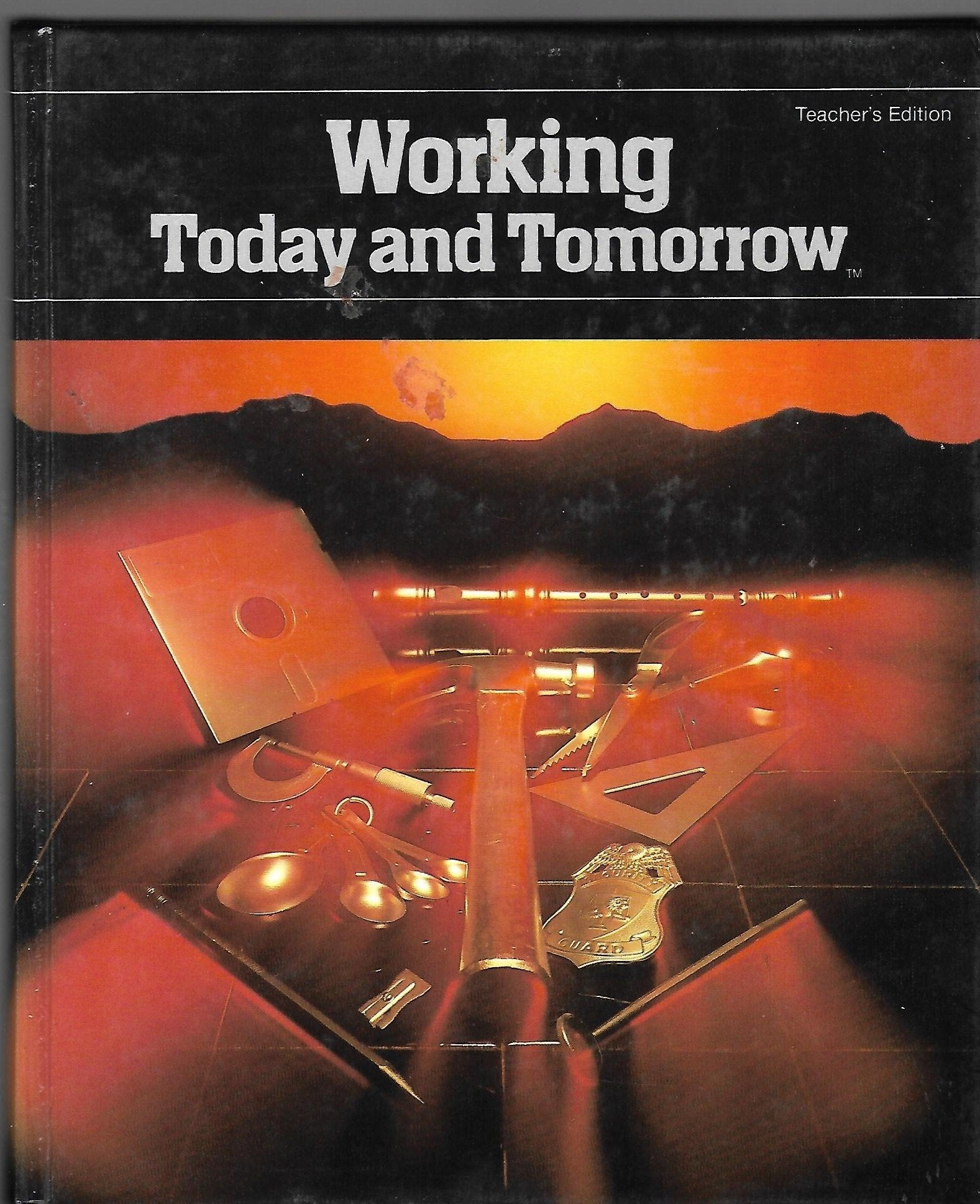 Working Today and Tomorrow (Teachers Edition, No 25802) Learning & Reference