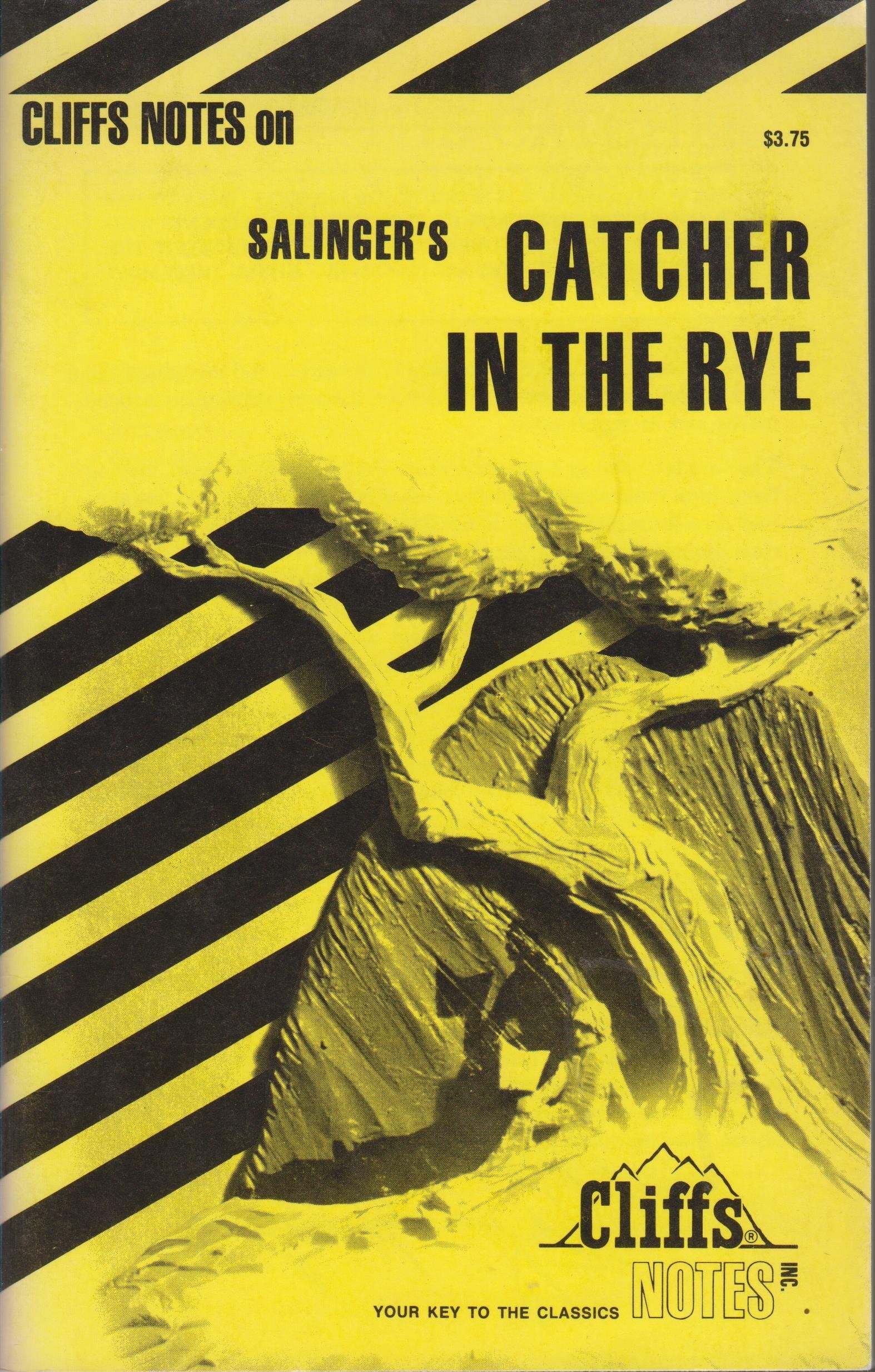 Cliffs Notes on Salinger's The Catcher in the Rye Contemporary literature Books