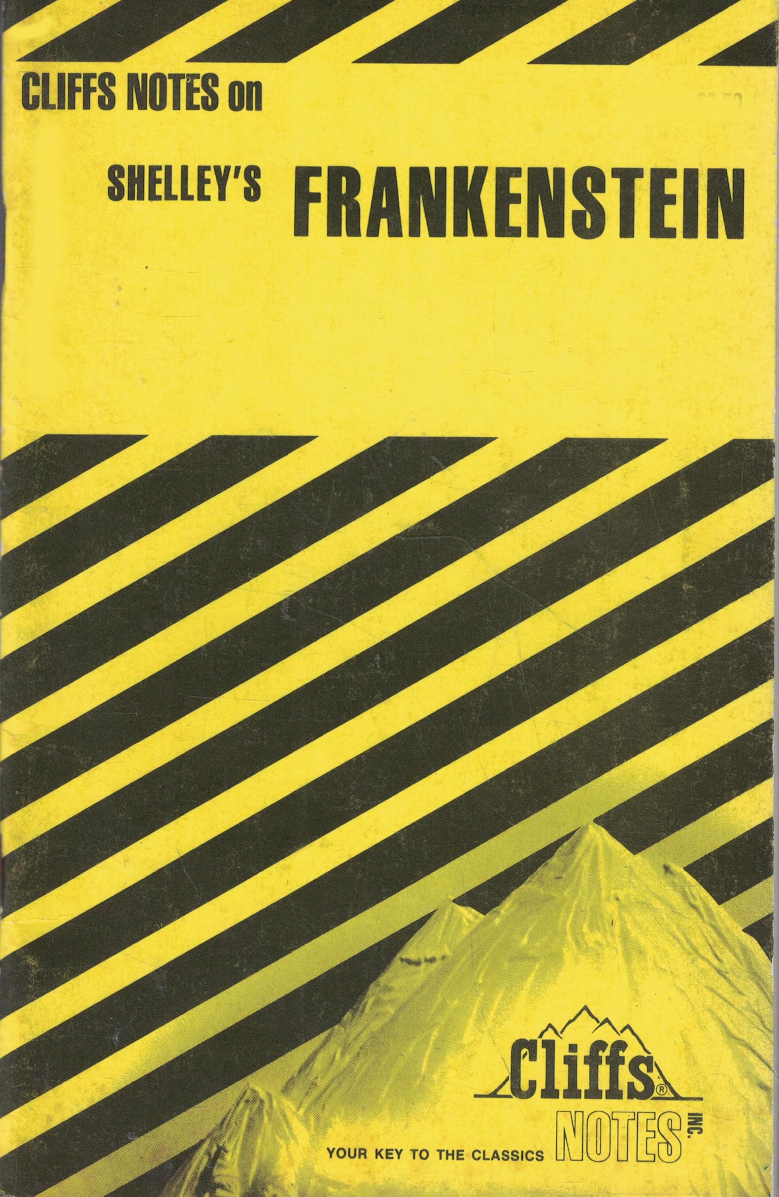 Frankenstein (Cliffs notes) Contemporary literature Books