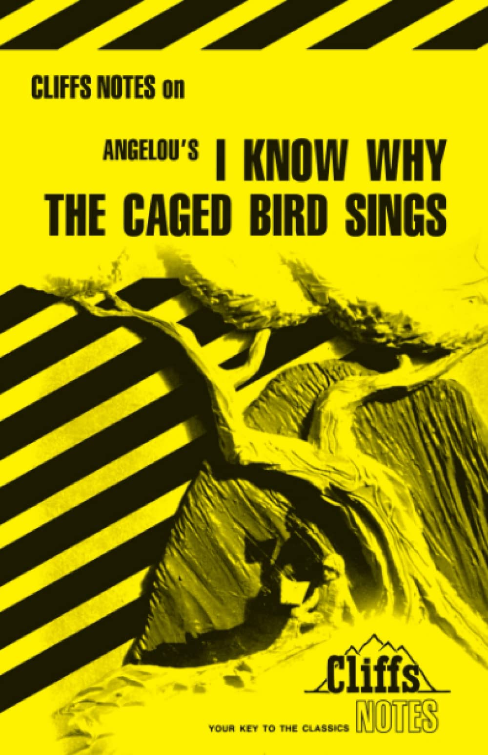 Angelou's "I Know Why the Caged Bird Sings" Contemporary literature