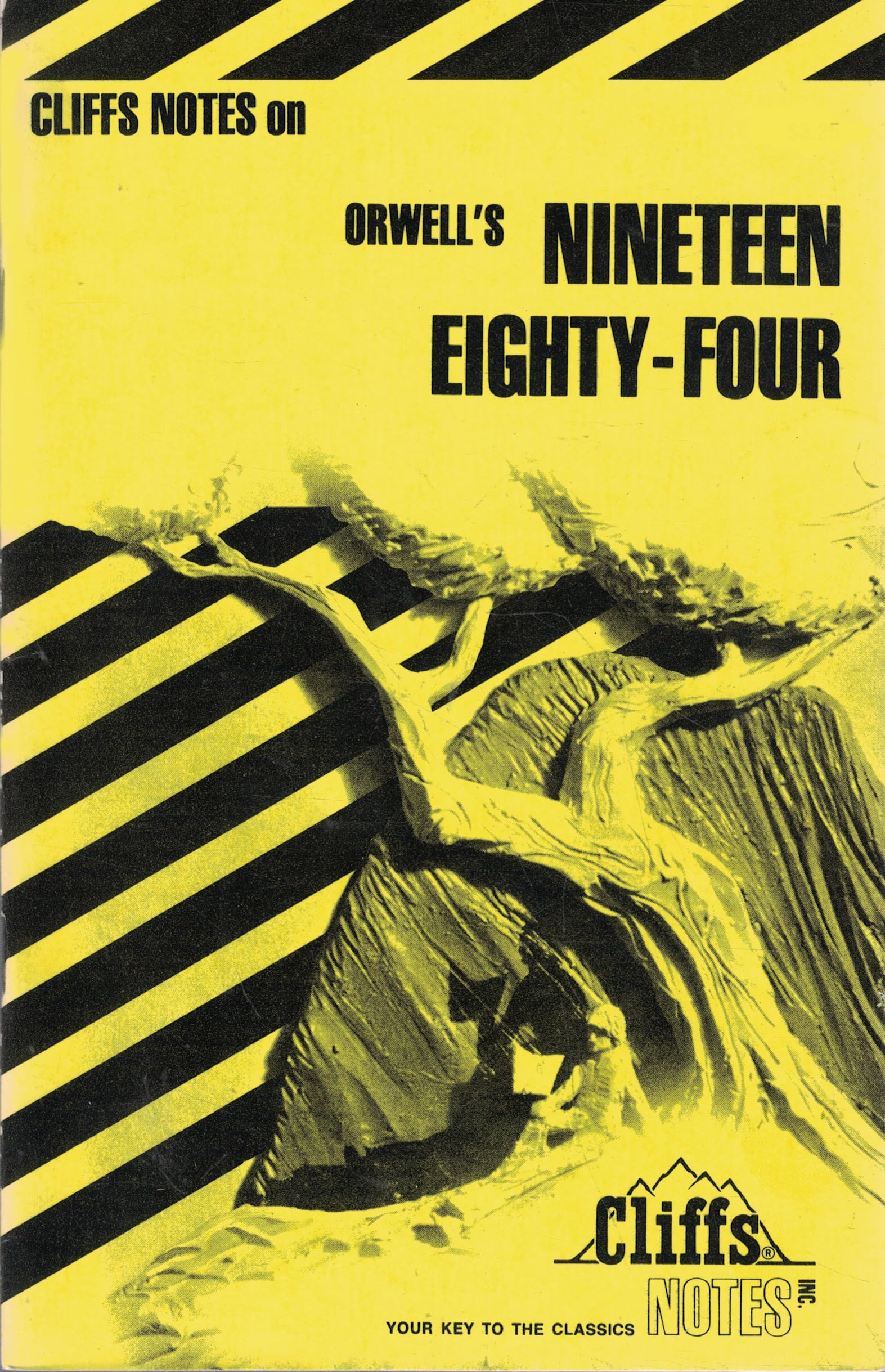 Notes on Orwell's "Nineteen Eighty-four" (Cliffs notes) Contemporary literature Books
