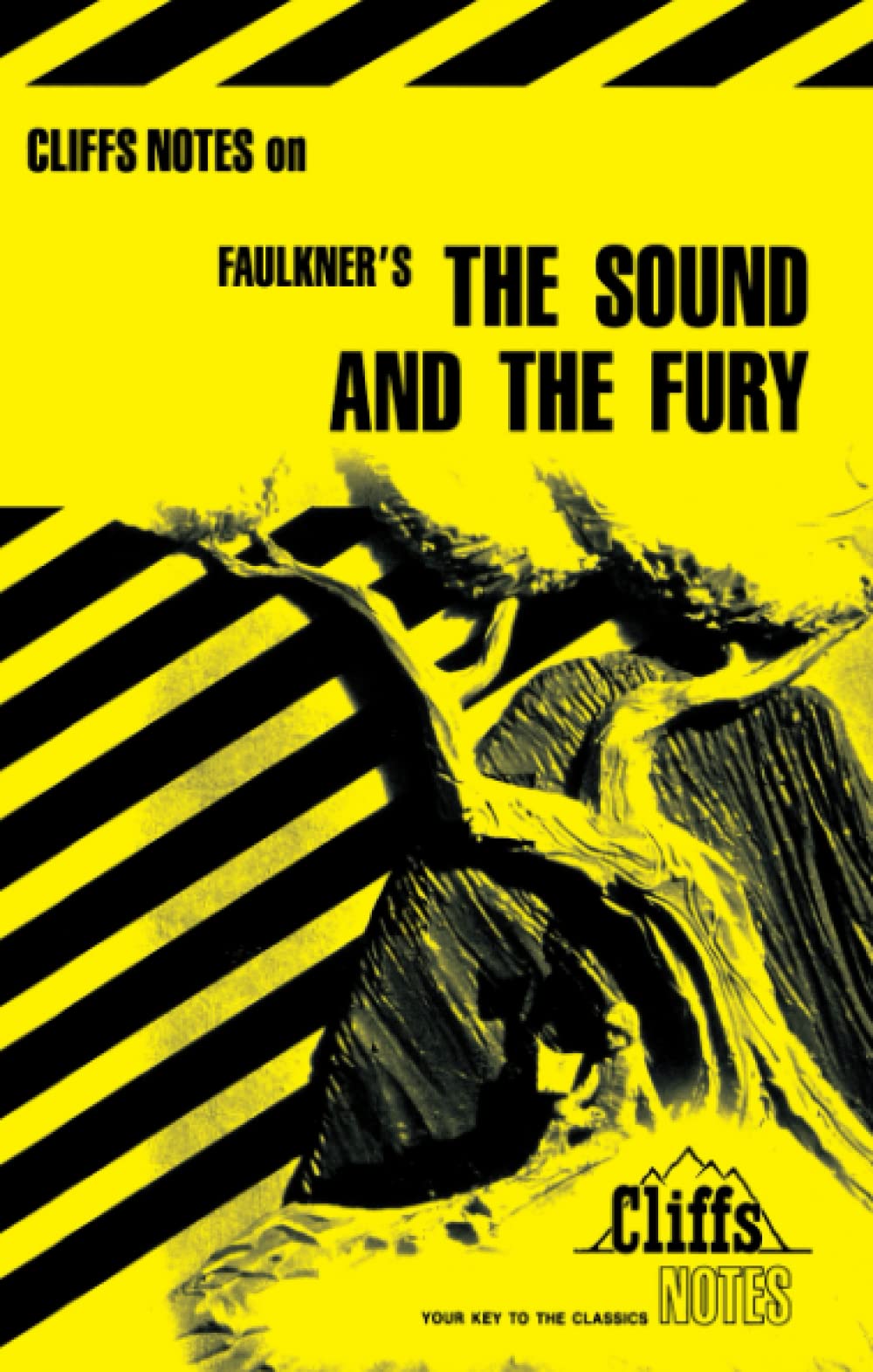 CliffsNotes on Faulkner's The Sound & the Fury (CliffsNotes on Literature) Contemporary literature
