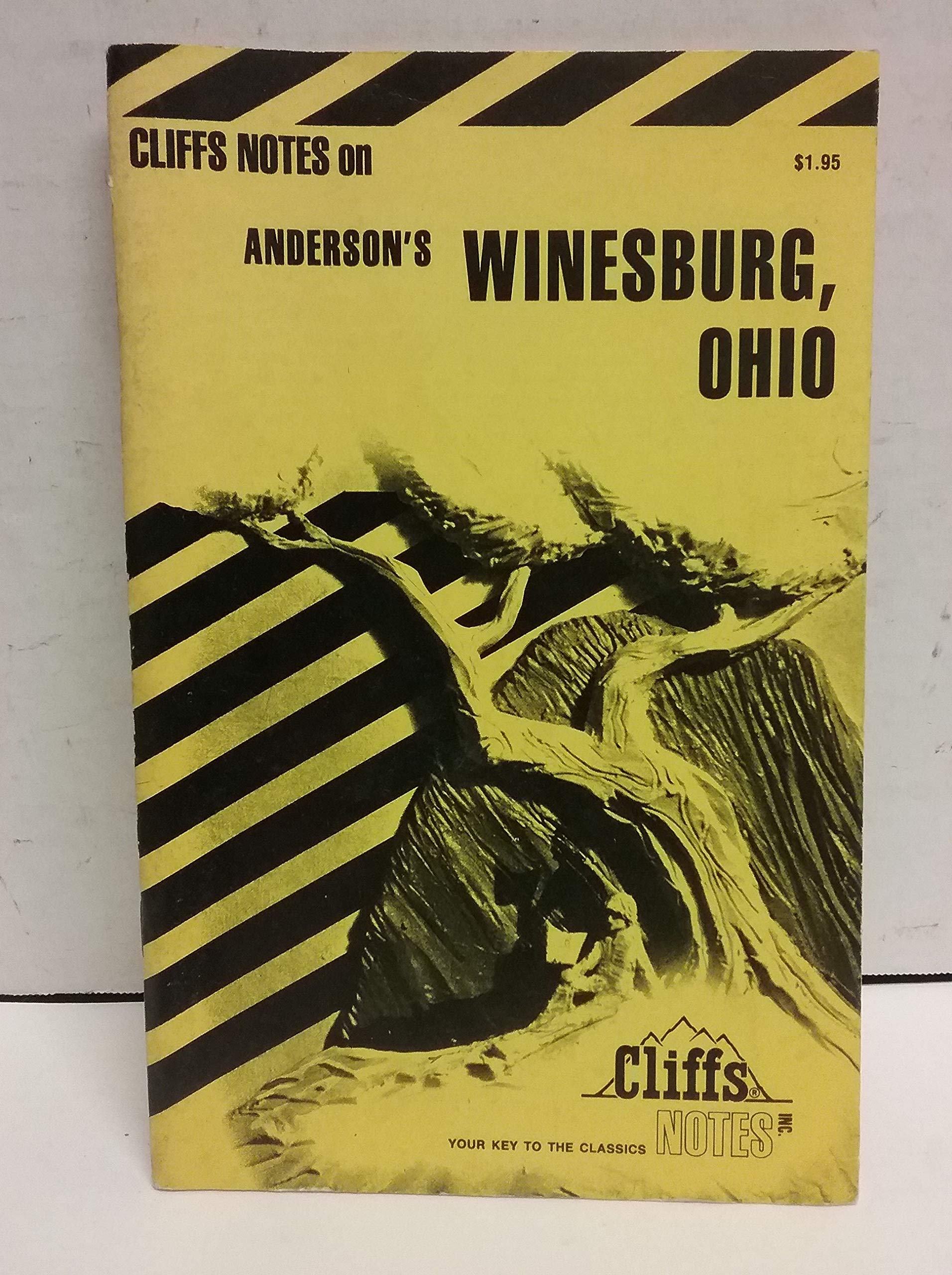 Anderson'S Winesburg, Ohio book