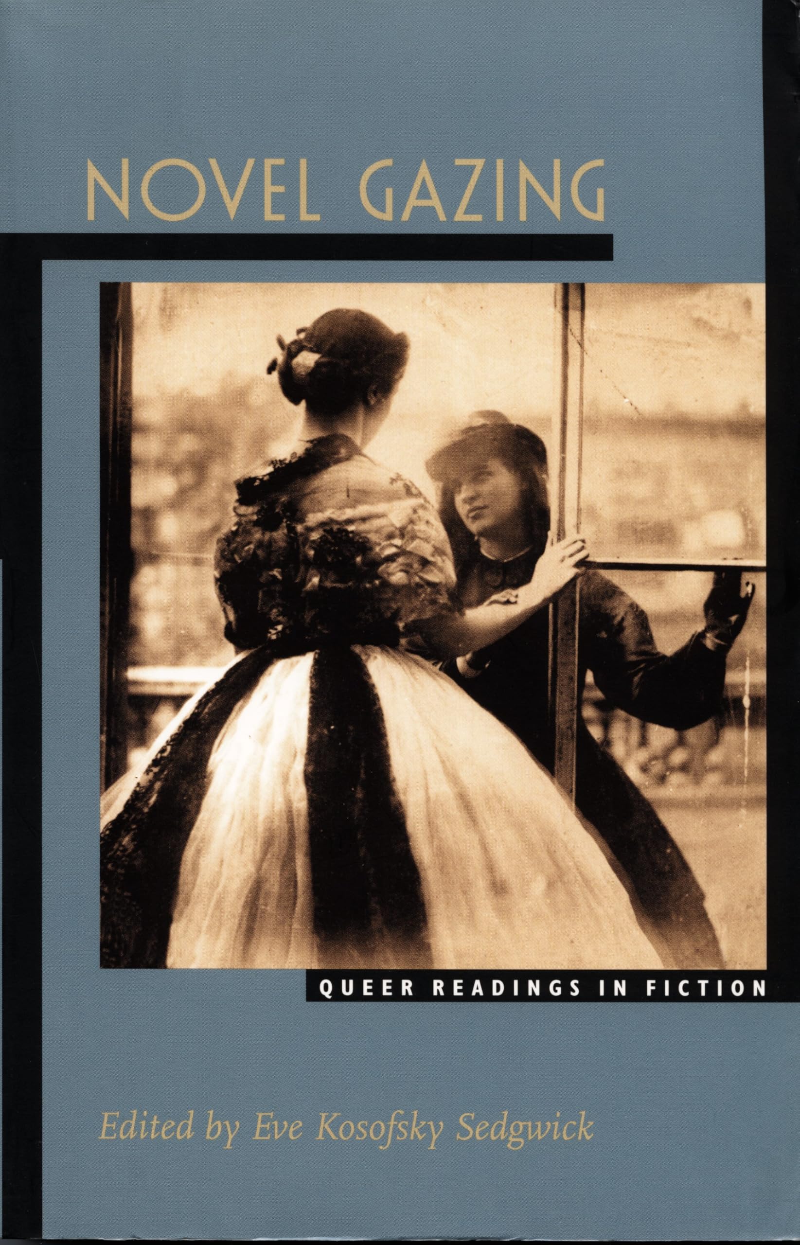 Novel Gazing: Queer Readings in Fiction (Series Q) Books