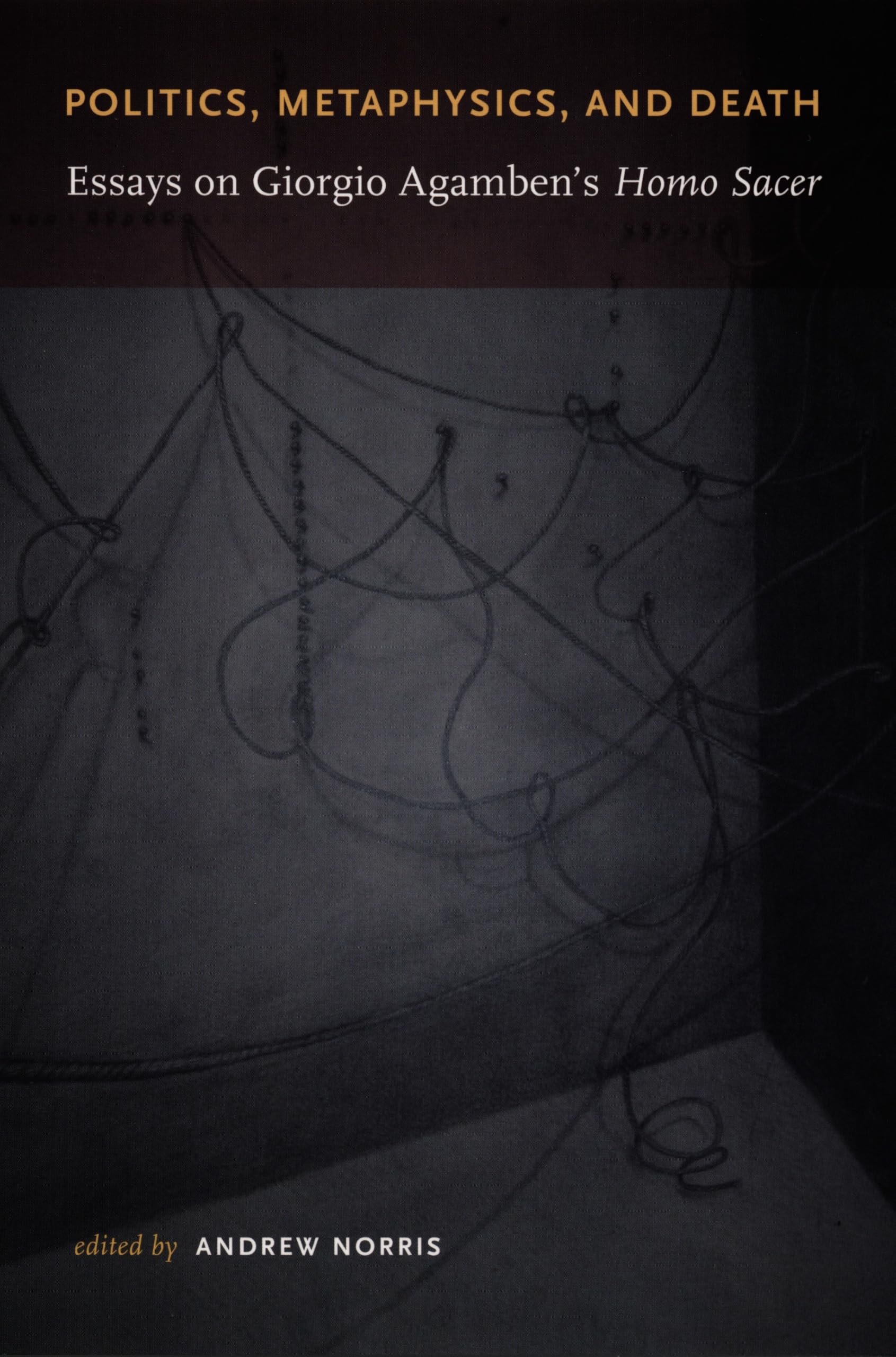 Politics, Metaphysics, and Death: Essays on Giorgio Agamben’s Homo Sacer book