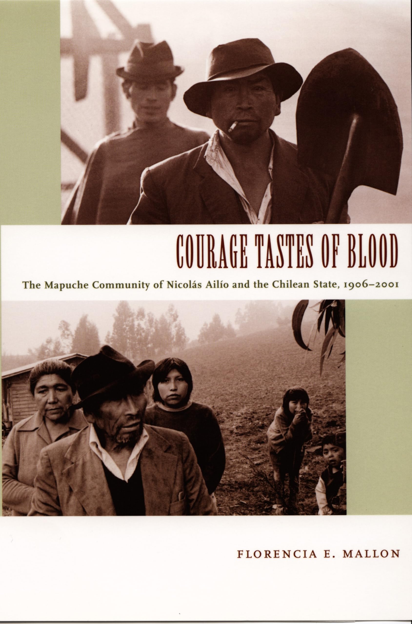 Courage Tastes of Blood: The Mapuche Community Of Nicolás Ailío And The Chilean State, 1906–2001: The Mapuche Community of Nicolas Ailio And the Chilean State, 1906-2001 (Radical Perspectives) Books